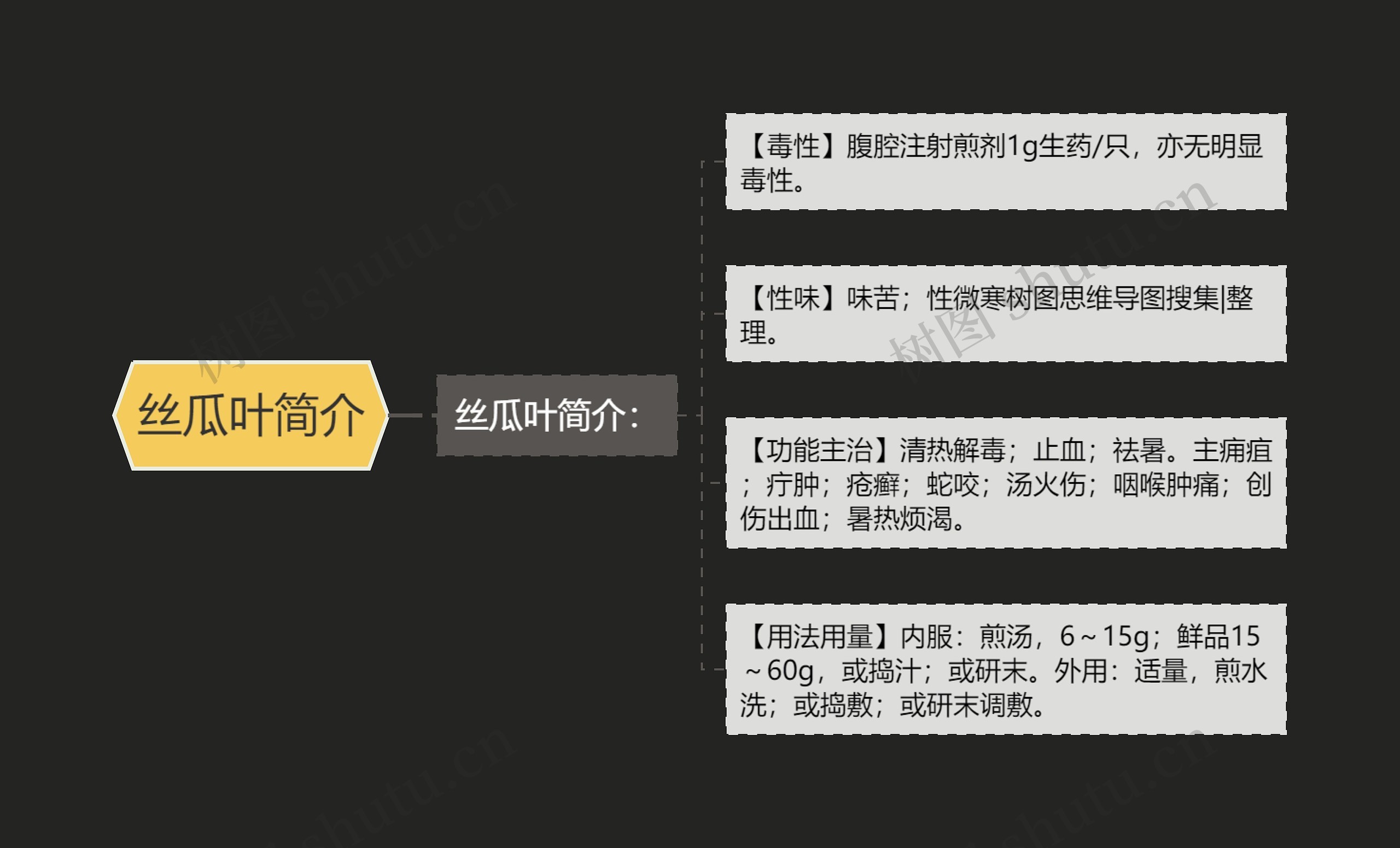 丝瓜叶简介思维导图