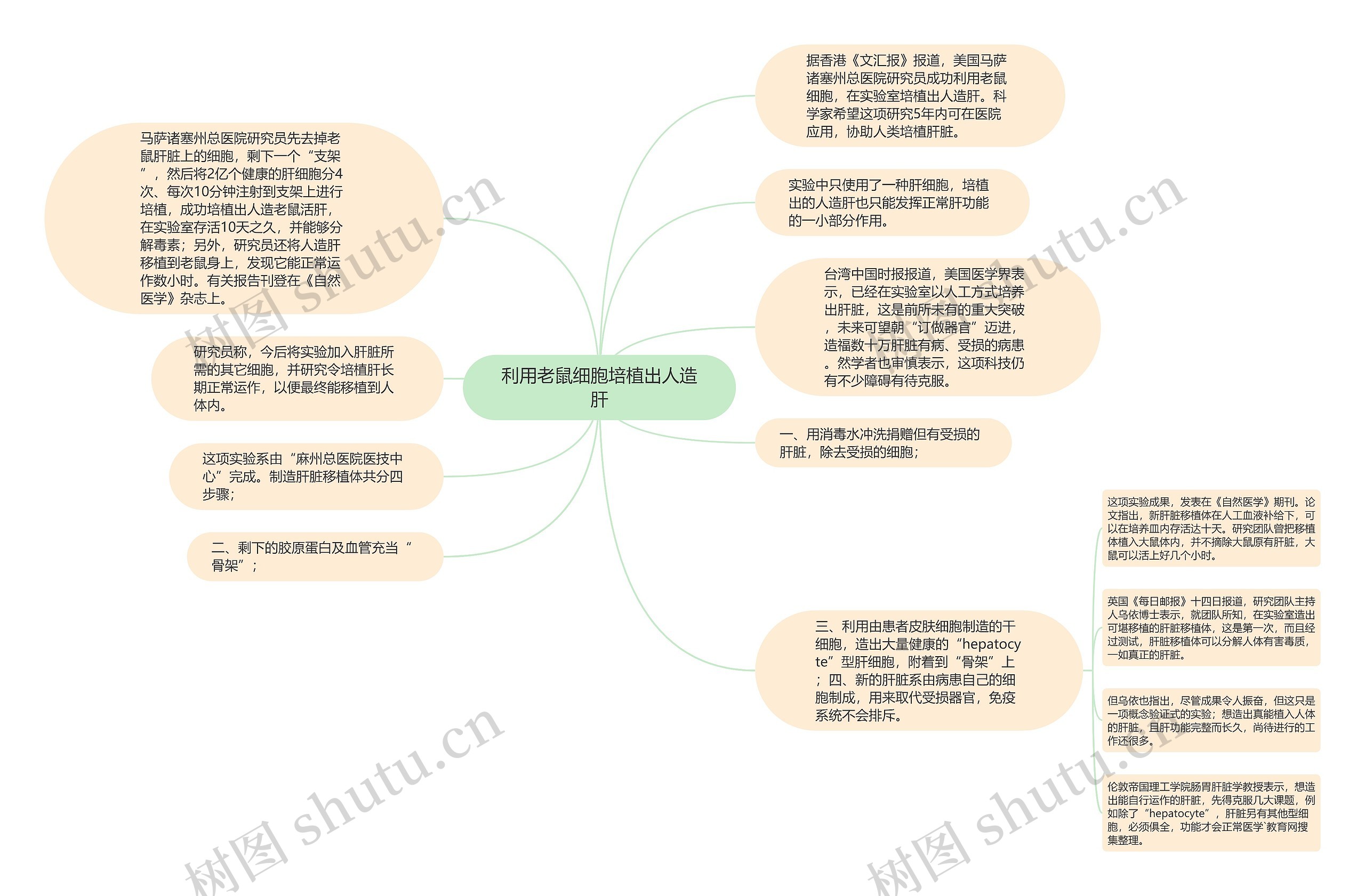 利用老鼠细胞培植出人造肝思维导图