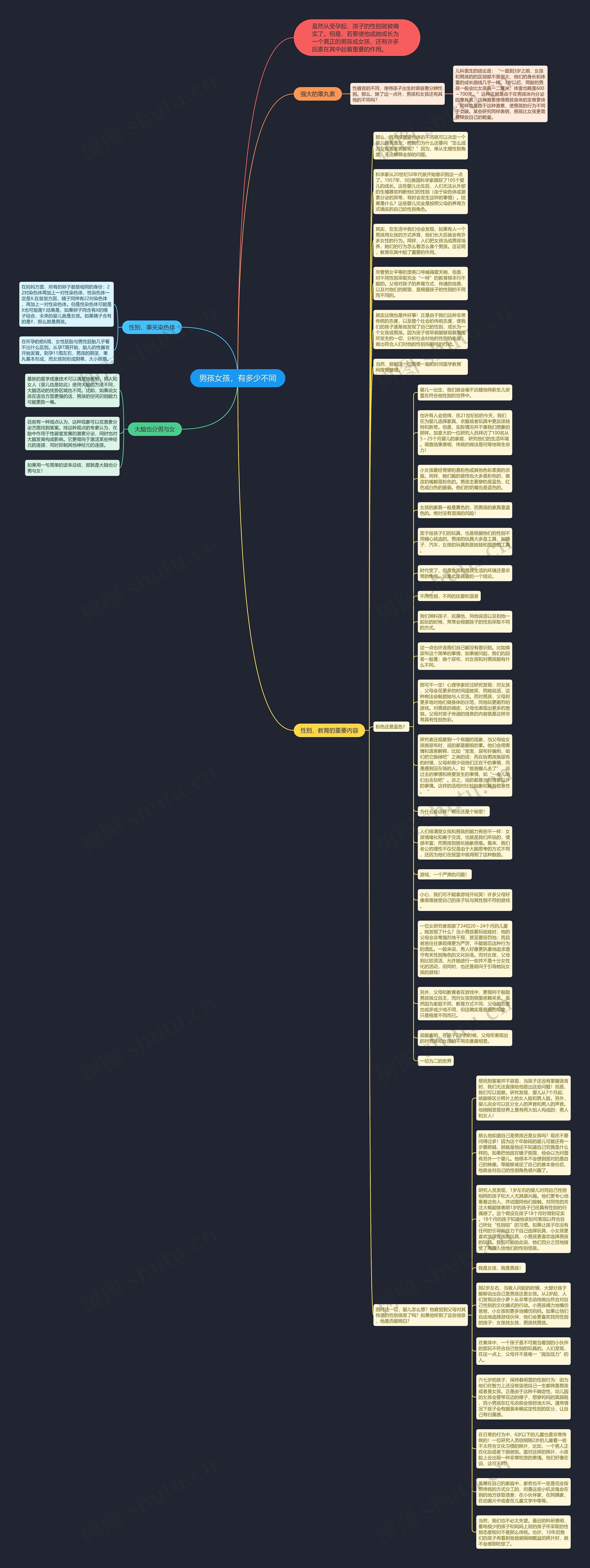 男孩女孩，有多少不同思维导图