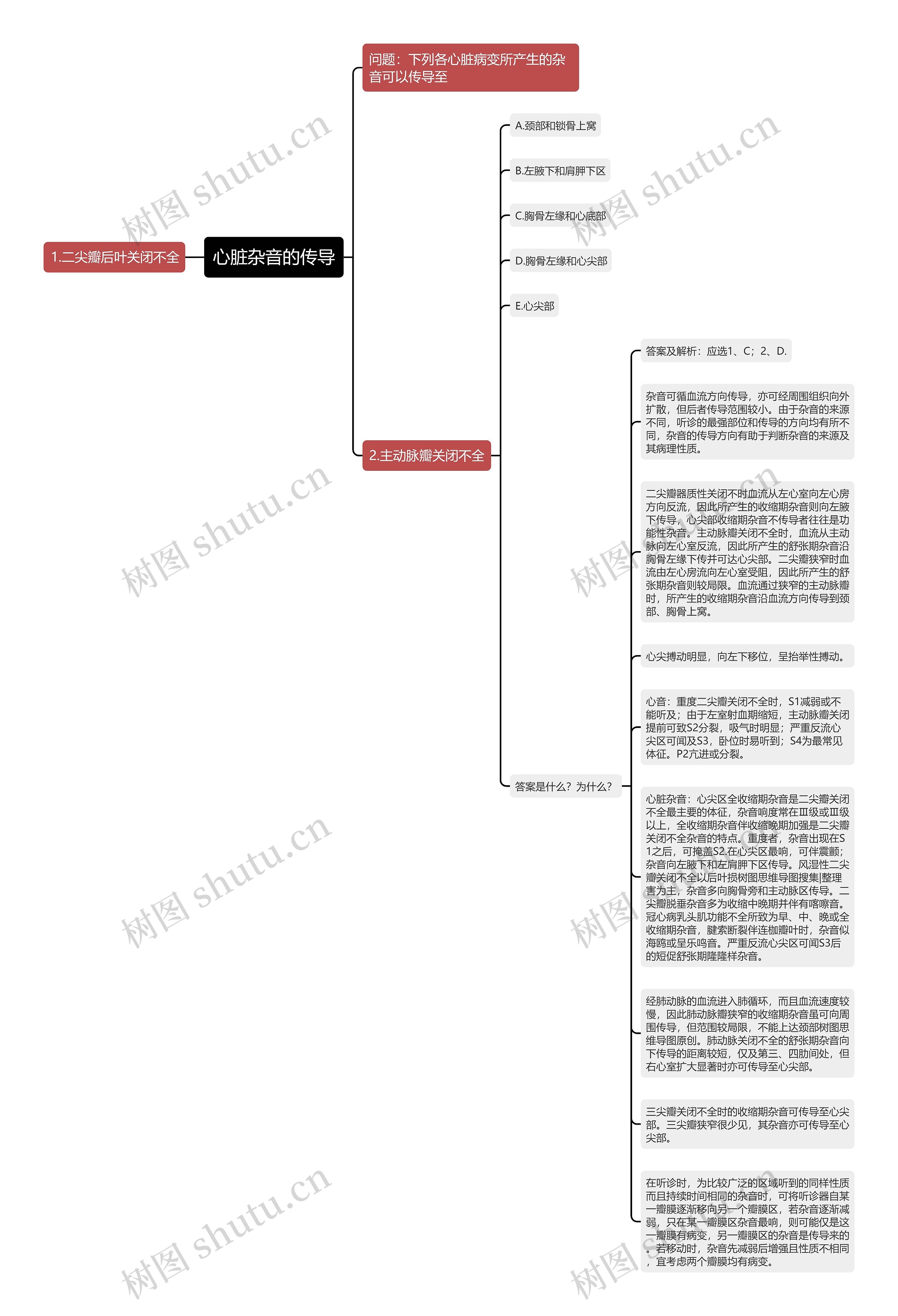 心脏杂音的传导思维导图