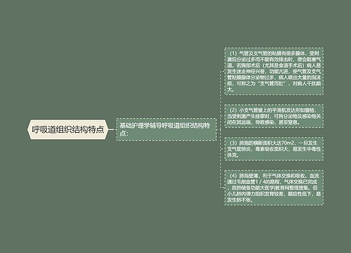 呼吸道组织结构特点