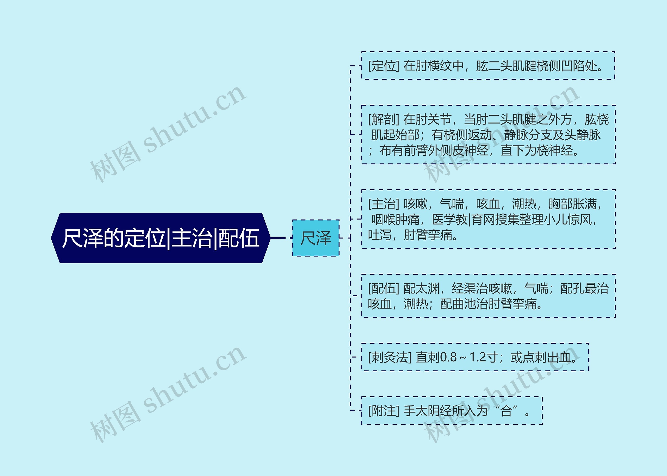 尺泽的定位|主治|配伍思维导图