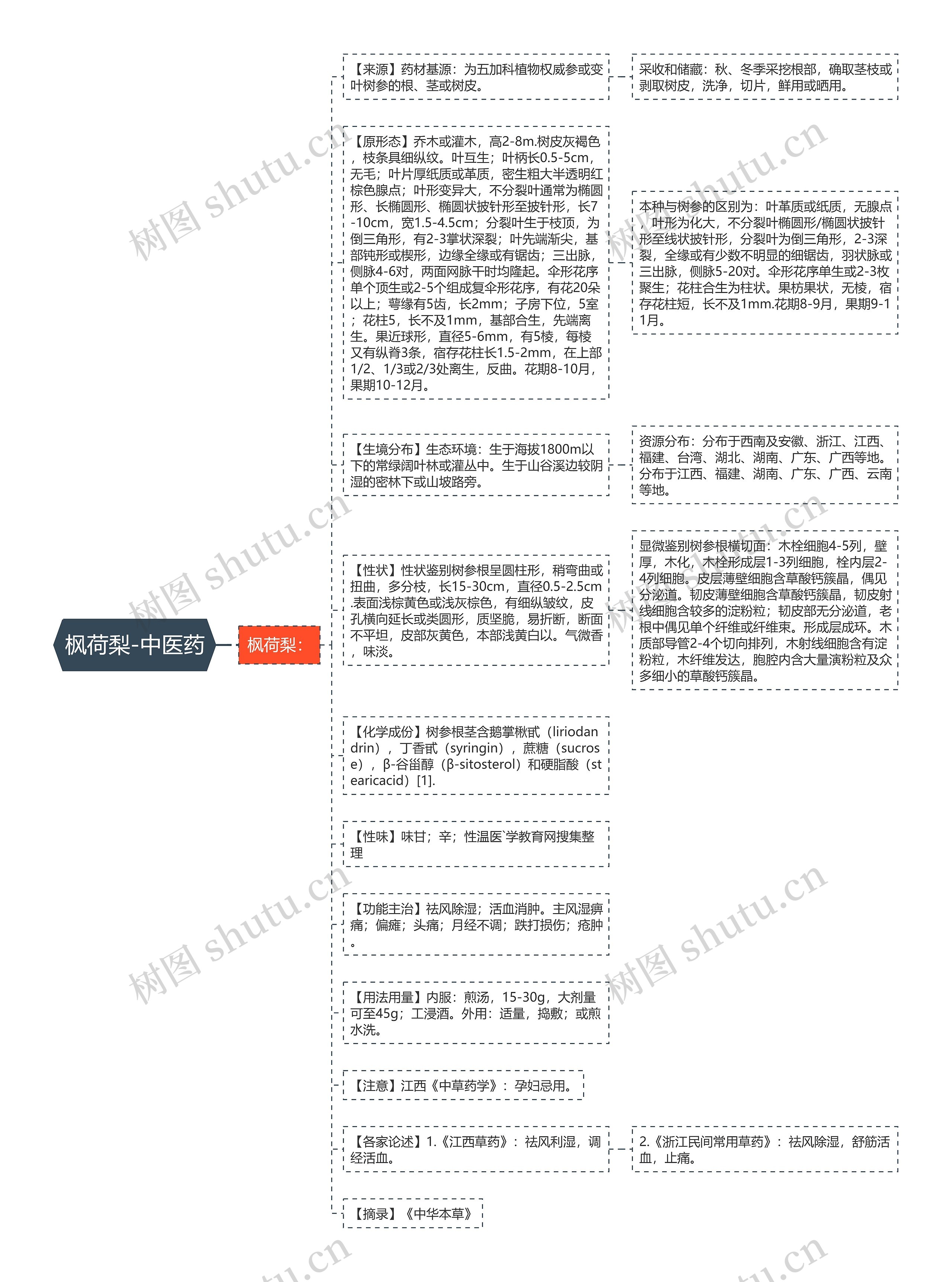 枫荷梨-中医药思维导图