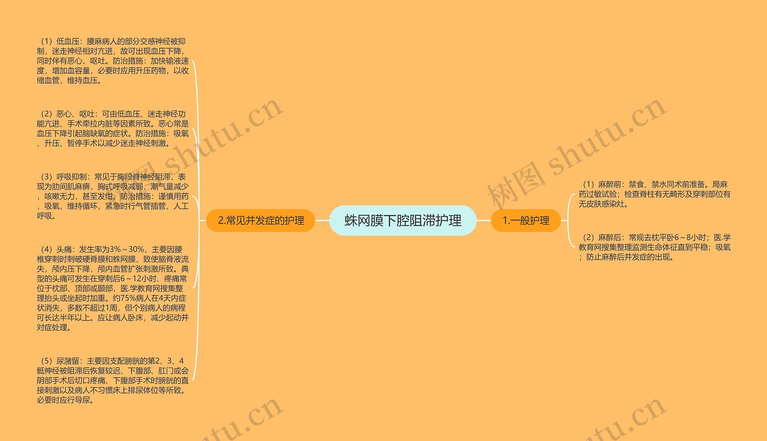 蛛网膜下腔阻滞护理思维导图