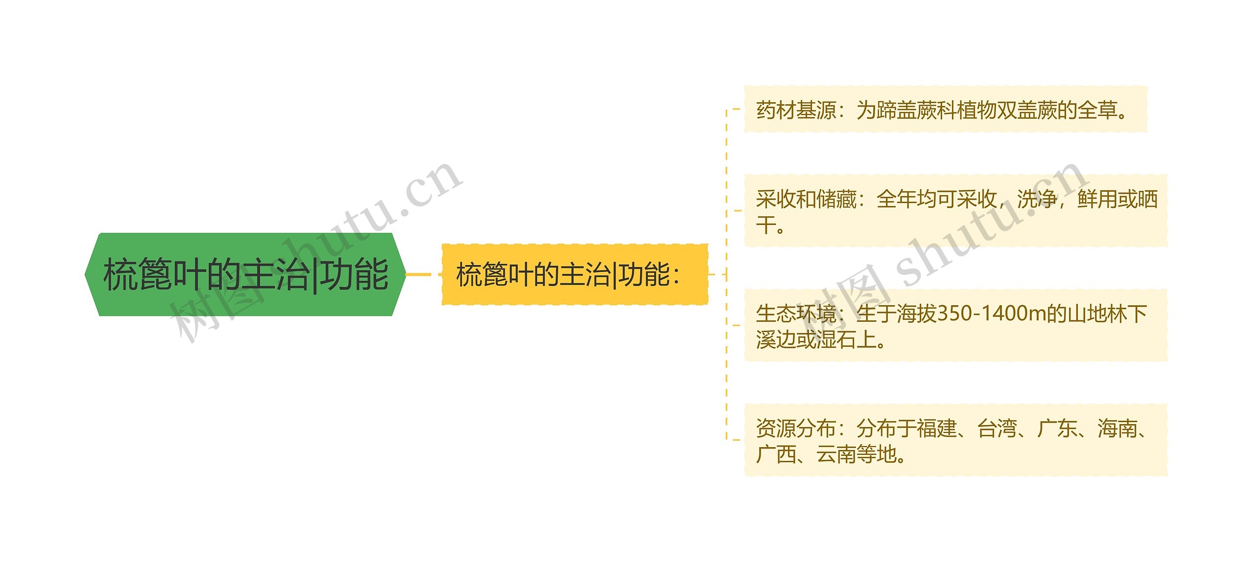 梳篦叶的主治|功能 梳篦叶的主治|功能