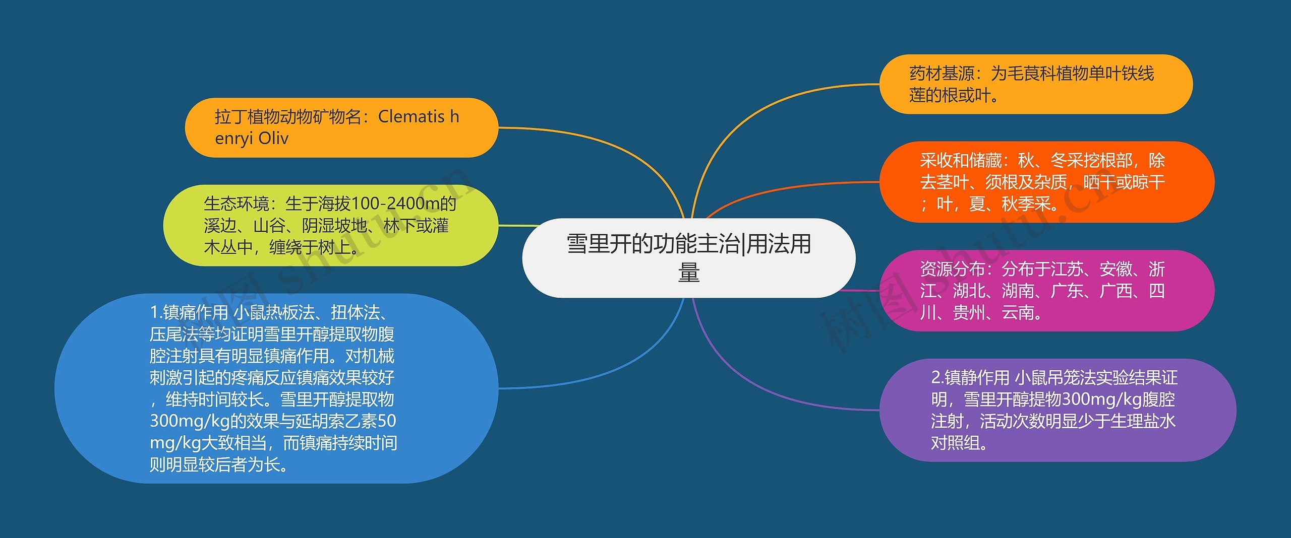 雪里开的功能主治|用法用量思维导图