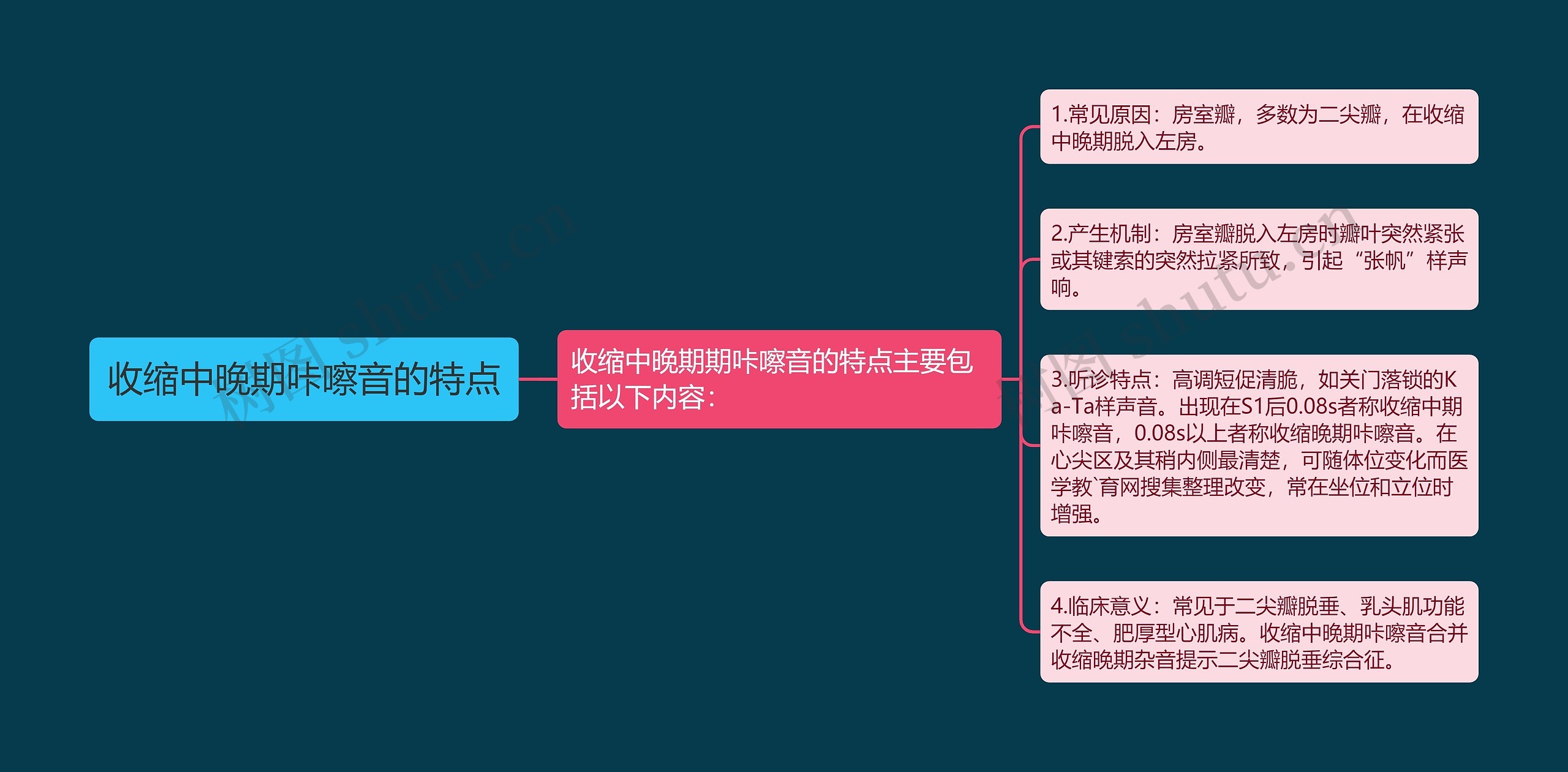 收缩中晚期咔嚓音的特点