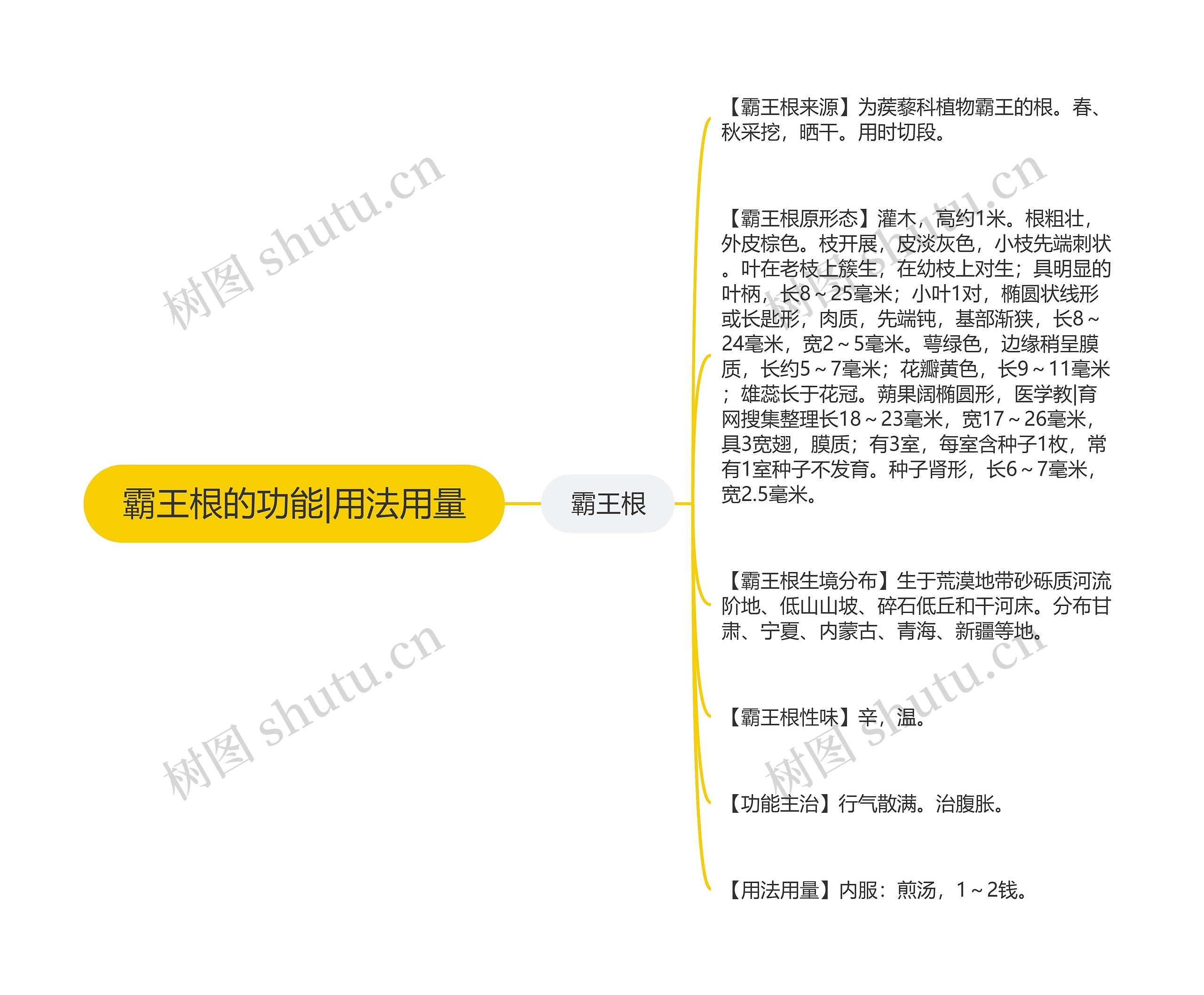 霸王根的功能|用法用量