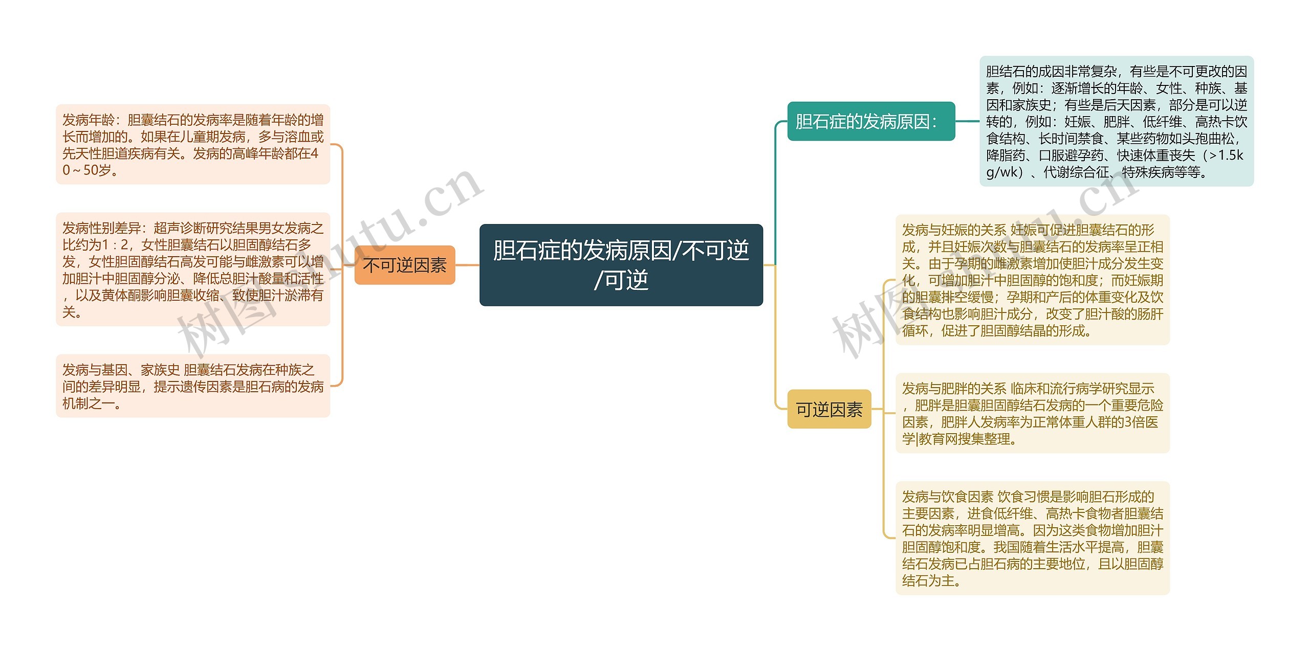 胆石症的发病原因/不可逆/可逆思维导图