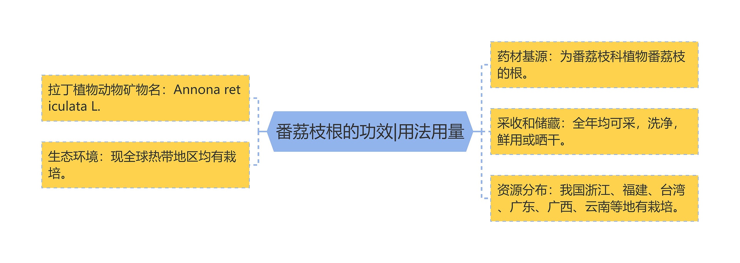 番荔枝根的功效|用法用量思维导图