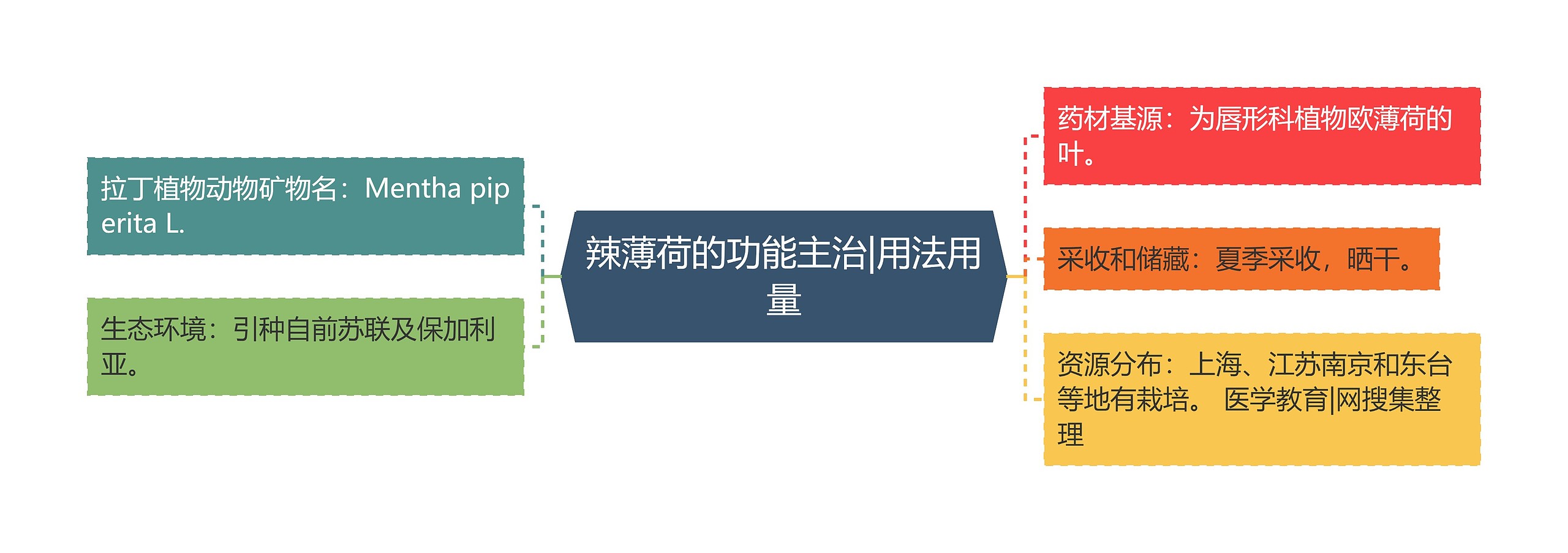 辣薄荷的功能主治|用法用量 辣薄荷的功能主治|用法用量