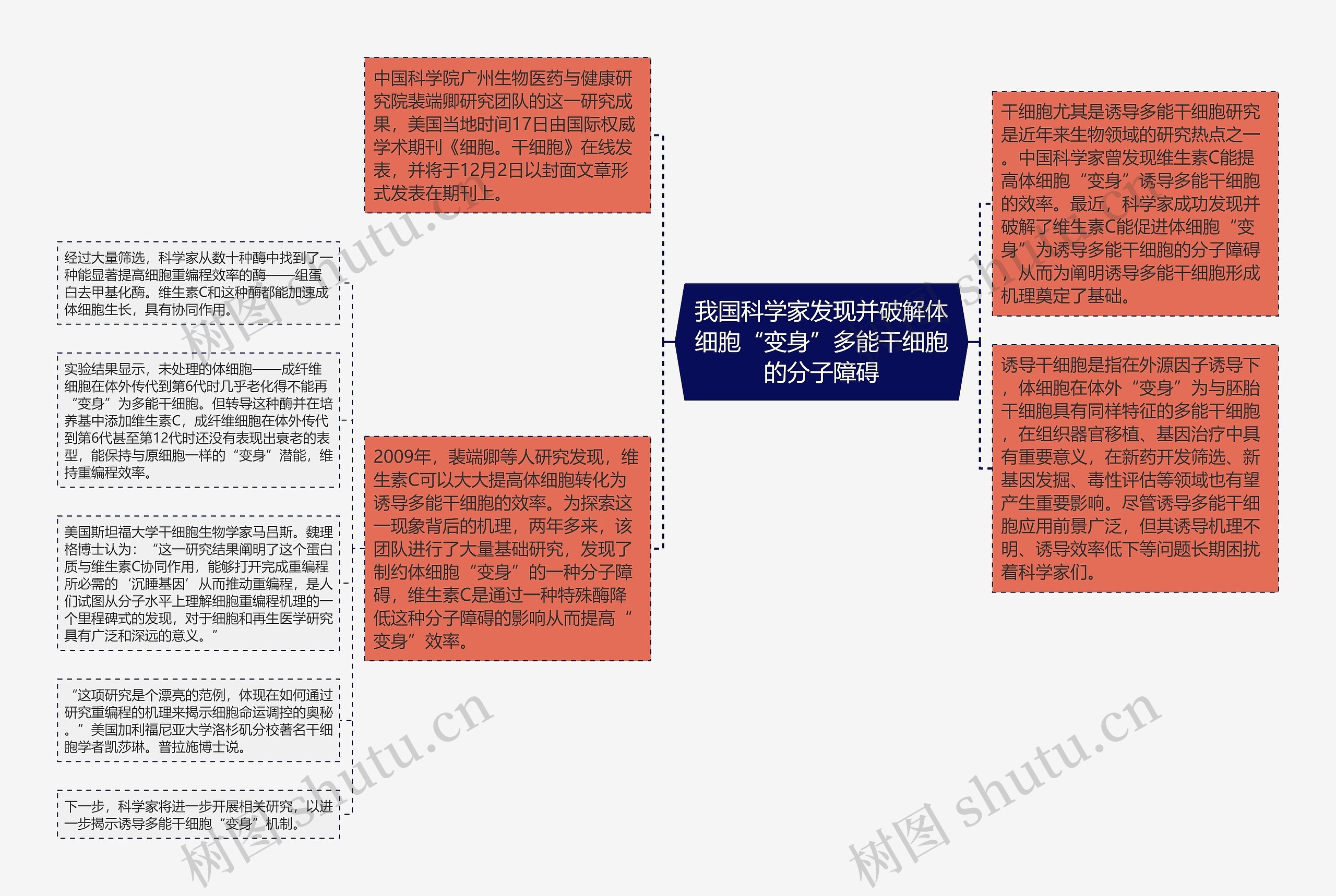 我国科学家发现并破解体细胞“变身”多能干细胞的分子障碍