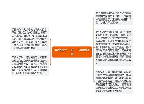 研究显示“脏”小猪更健康