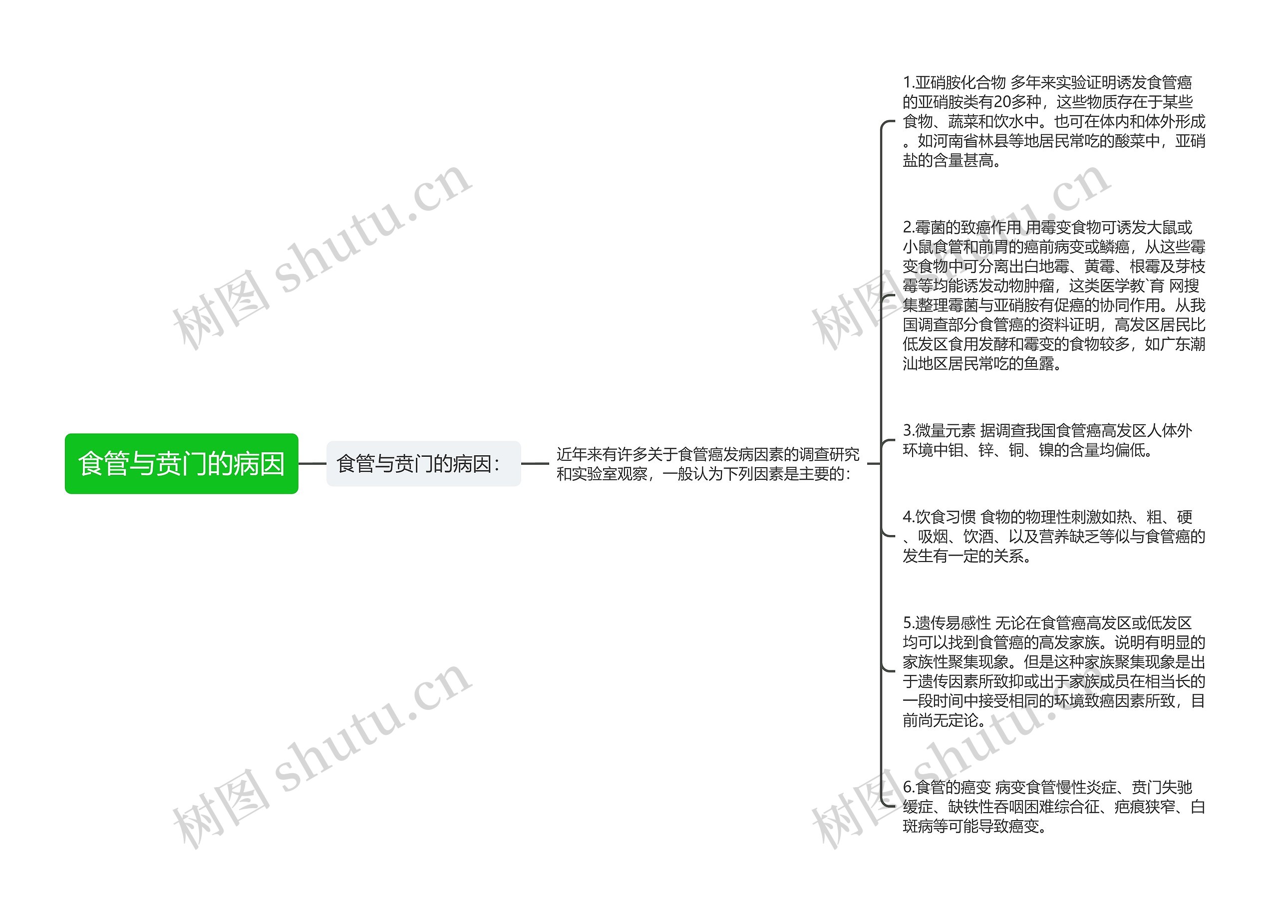 食管与贲门的病因 食管与贲门的病因