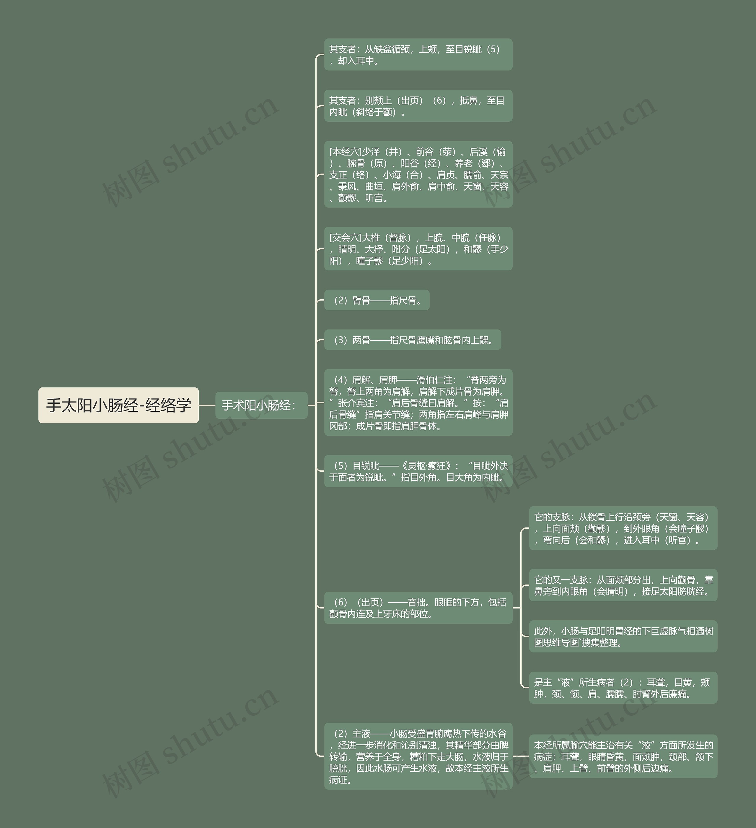 手太阳小肠经-经络学思维导图