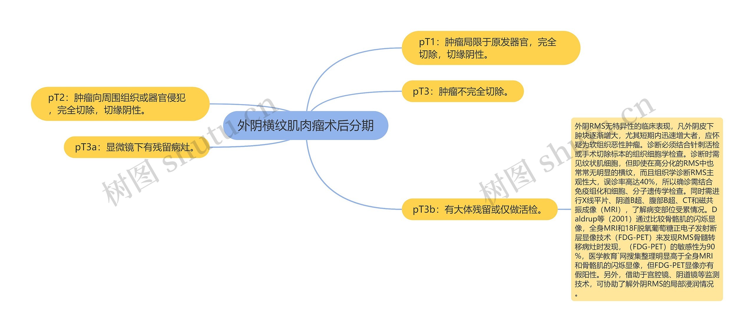 外阴横纹肌肉瘤术后分期思维导图