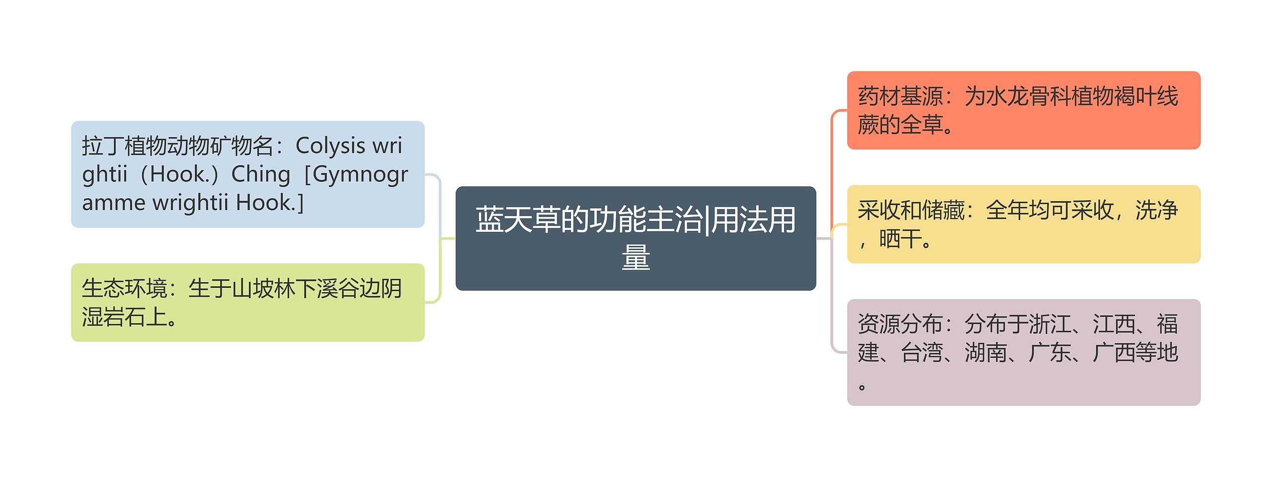 蓝天草的功能主治|用法用量