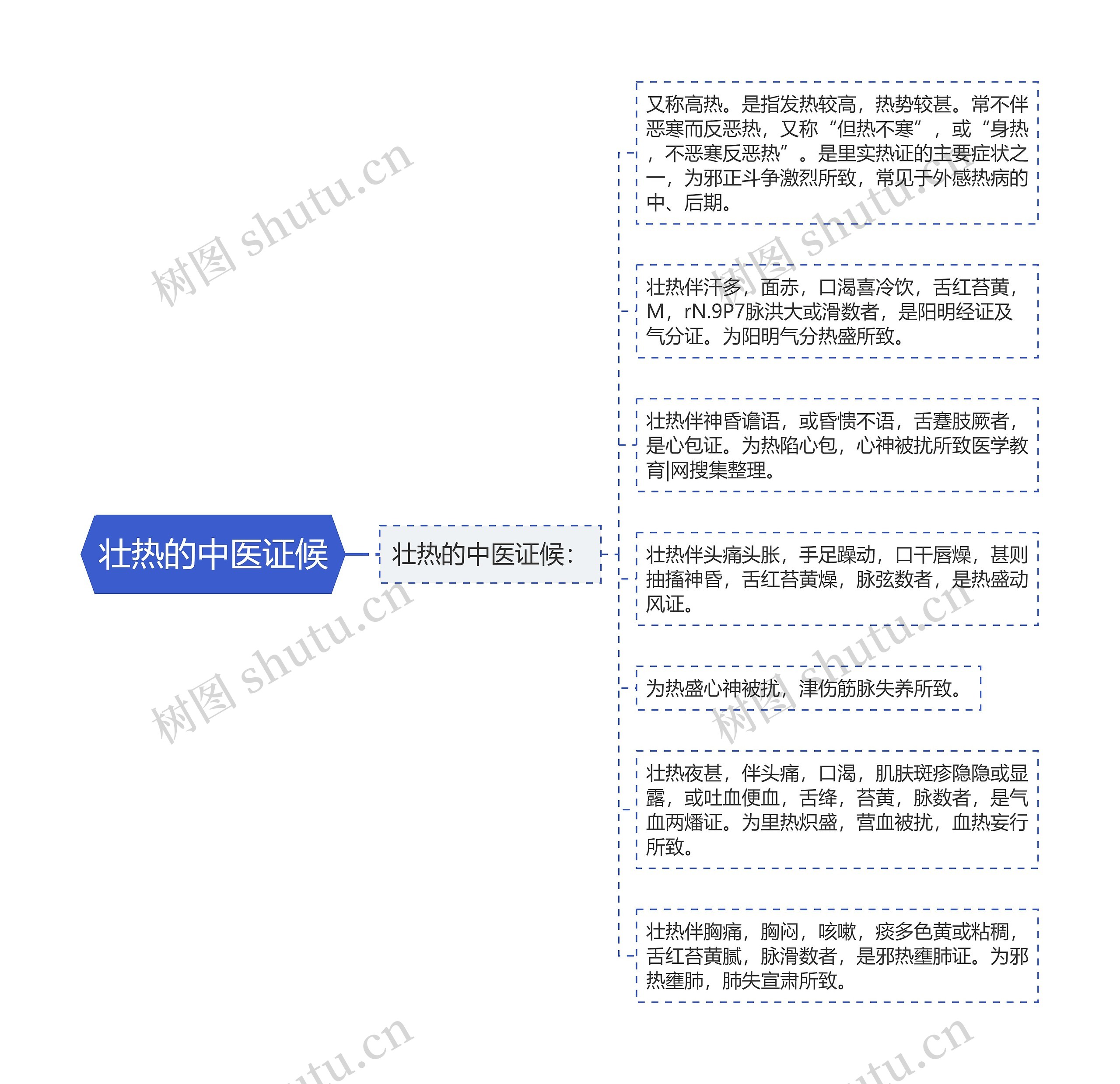 壮热的中医证候思维导图