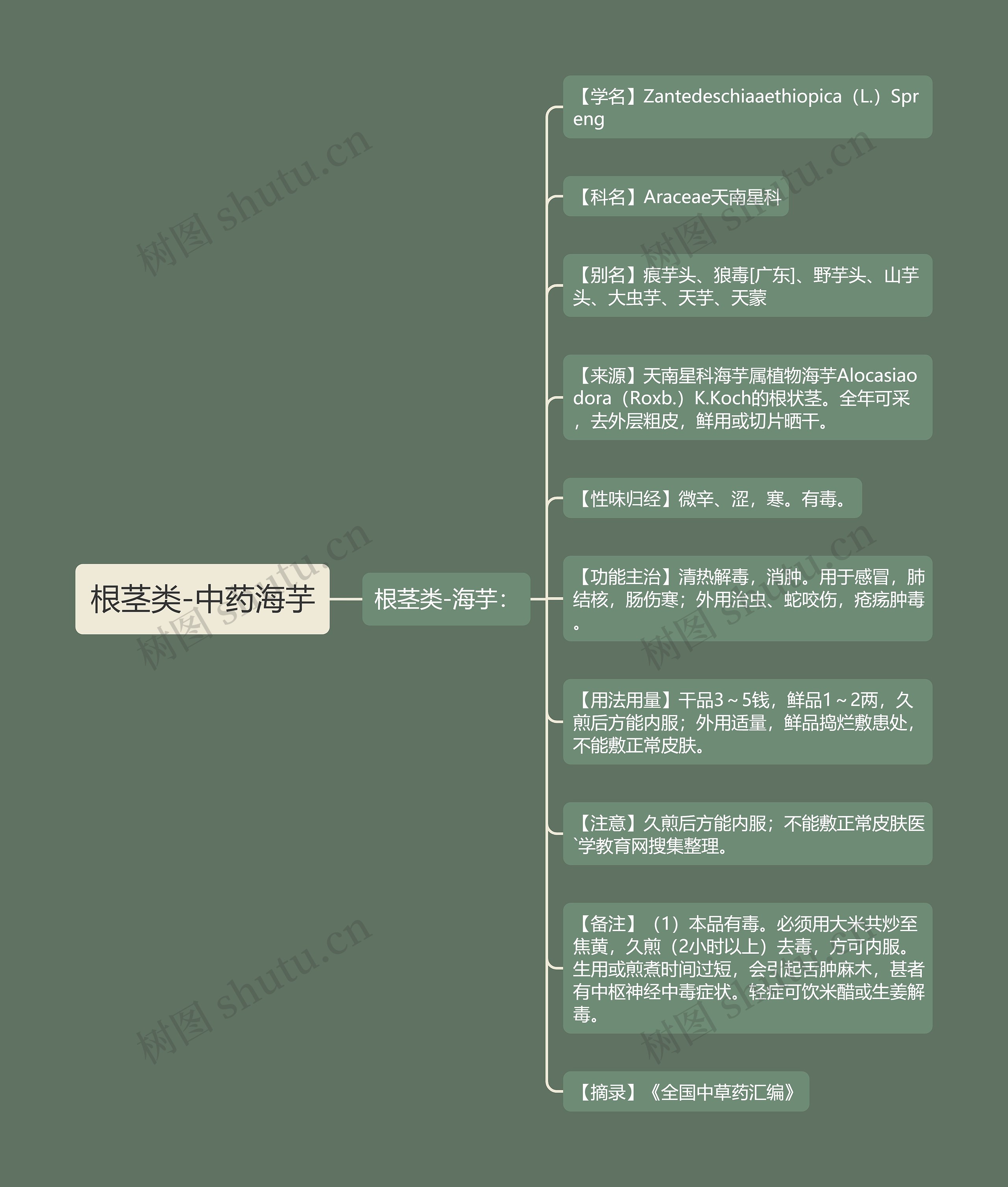 根茎类-中药海芋思维导图