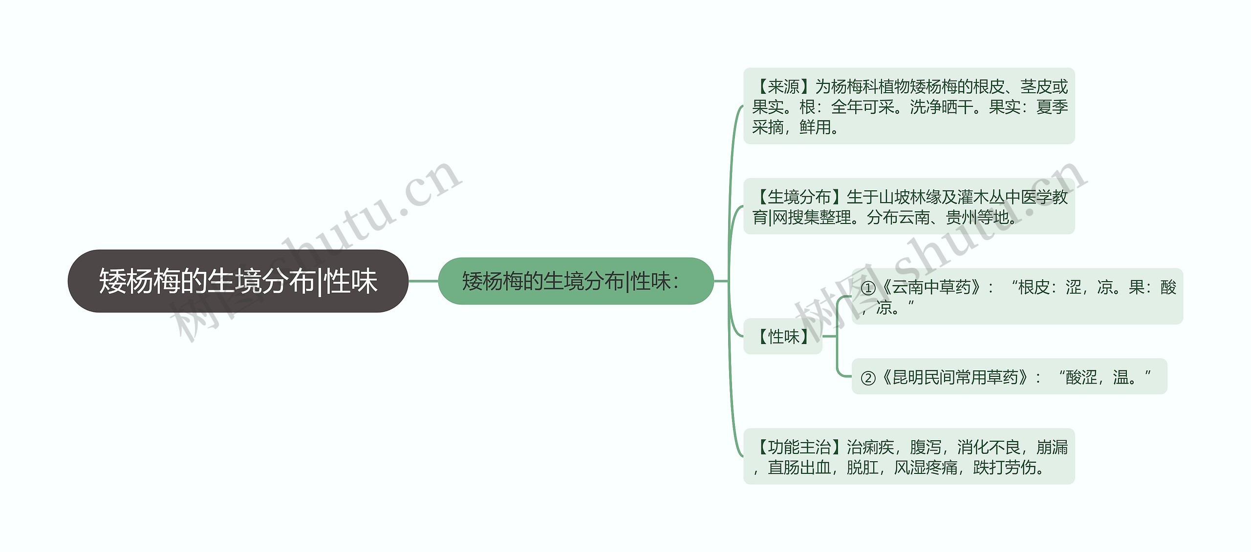 矮杨梅的生境分布|性味思维导图