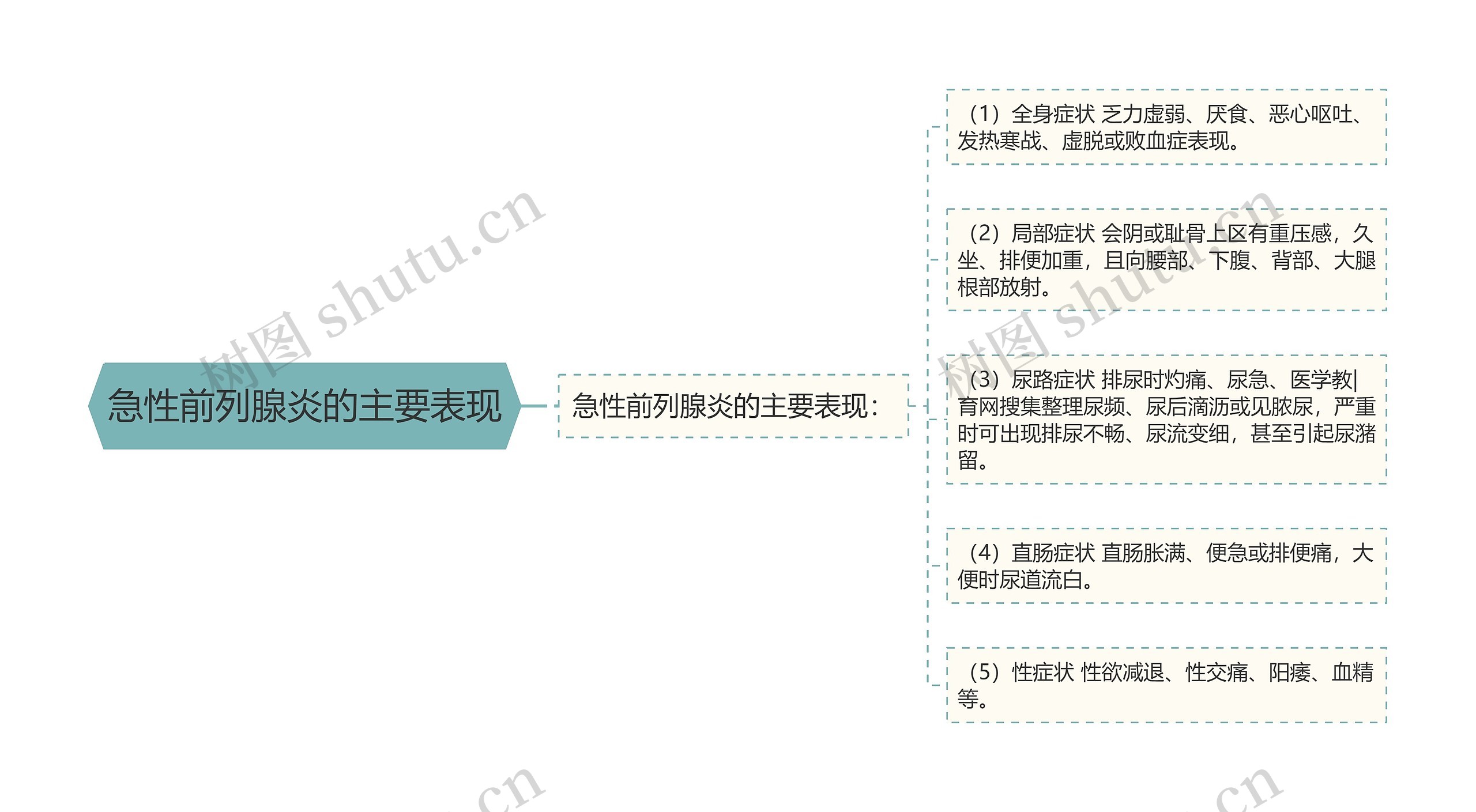 急性前列腺炎的主要表现思维导图