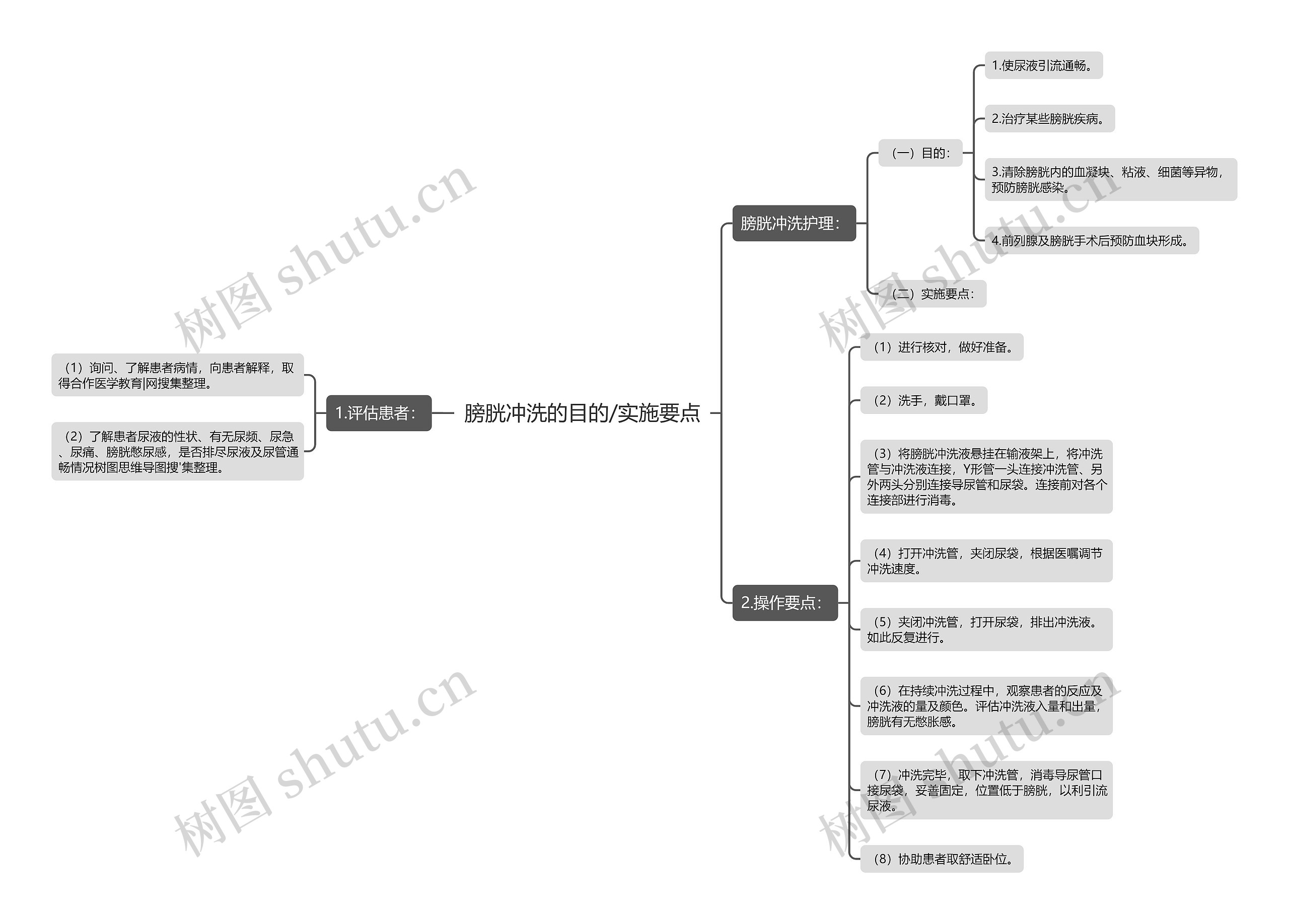 膀胱冲洗的目的/实施要点思维导图