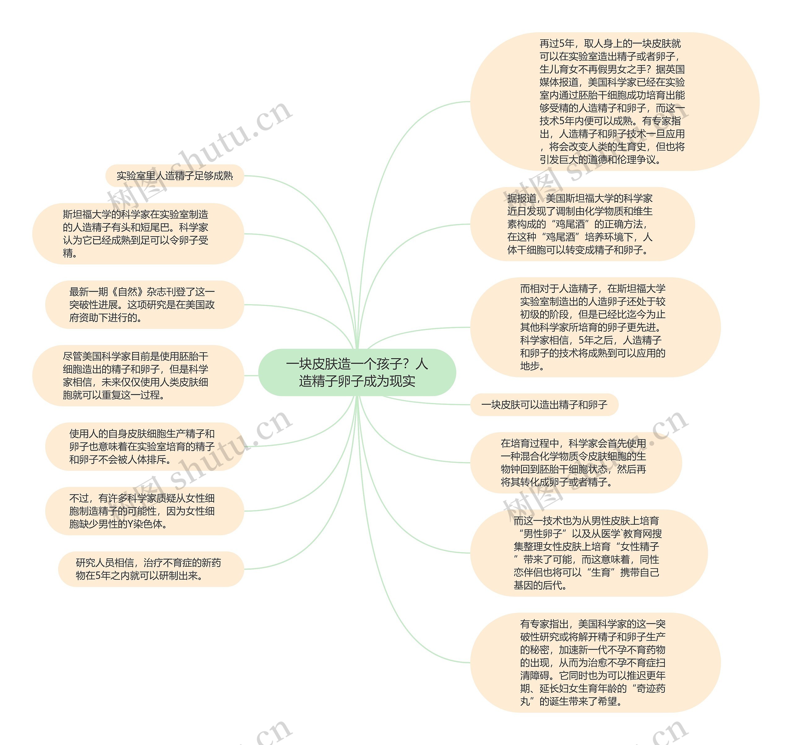 一块皮肤造一个孩子？人造精子卵子成为现实思维导图