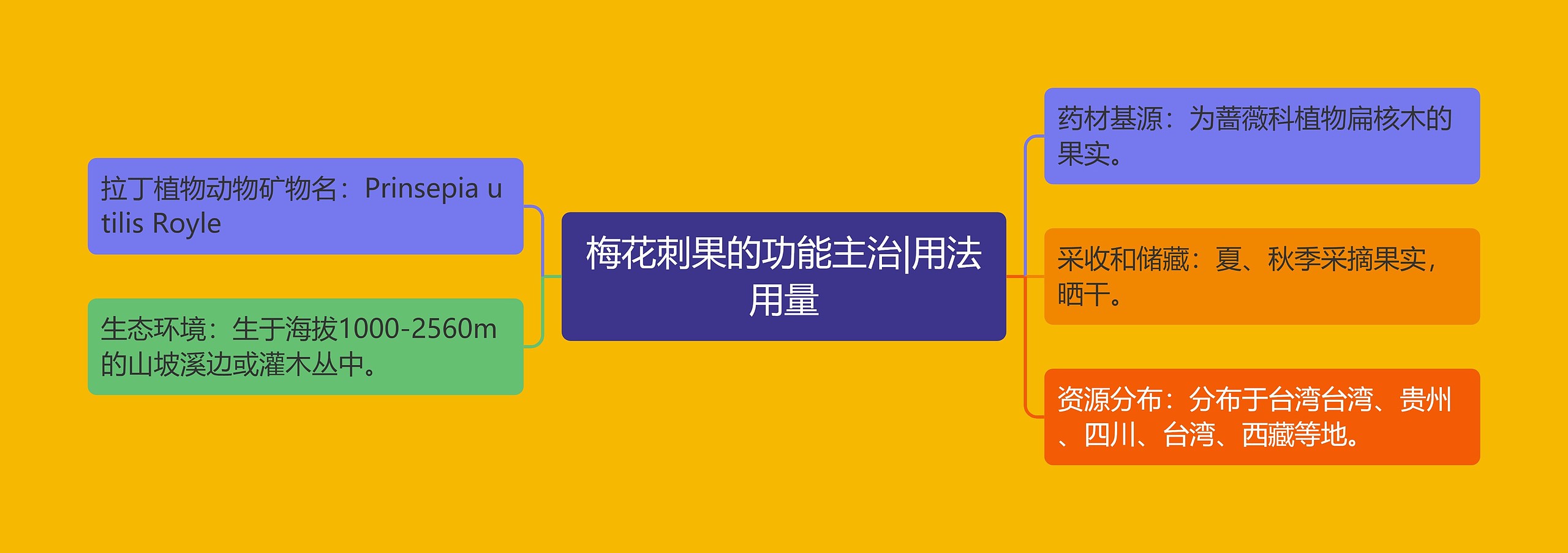 梅花刺果的功能主治|用法用量 梅花刺果的功能主治|用法用量