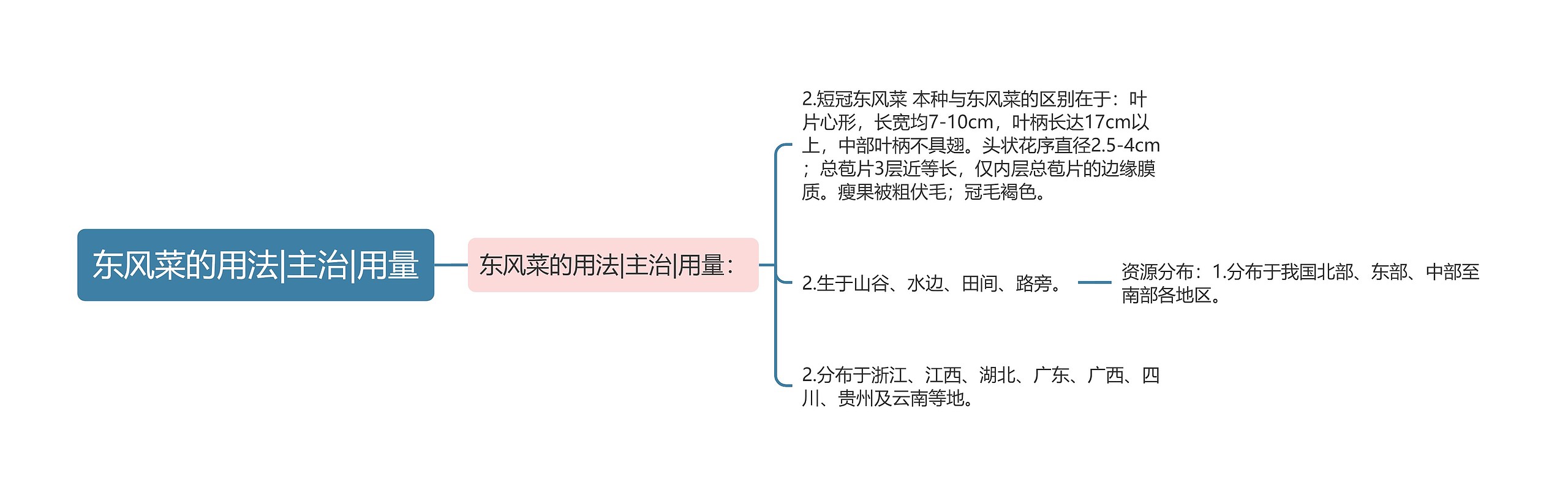 东风菜的用法|主治|用量