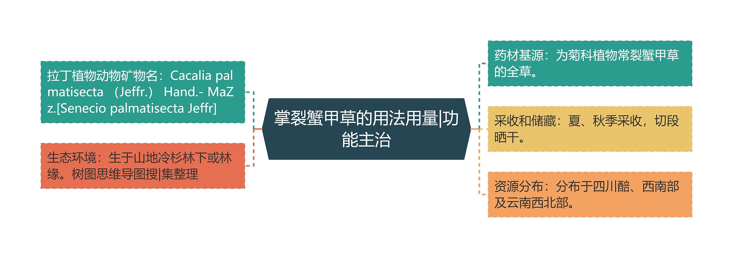 掌裂蟹甲草的用法用量|功能主治 掌裂蟹甲草的用法用量|功能主治