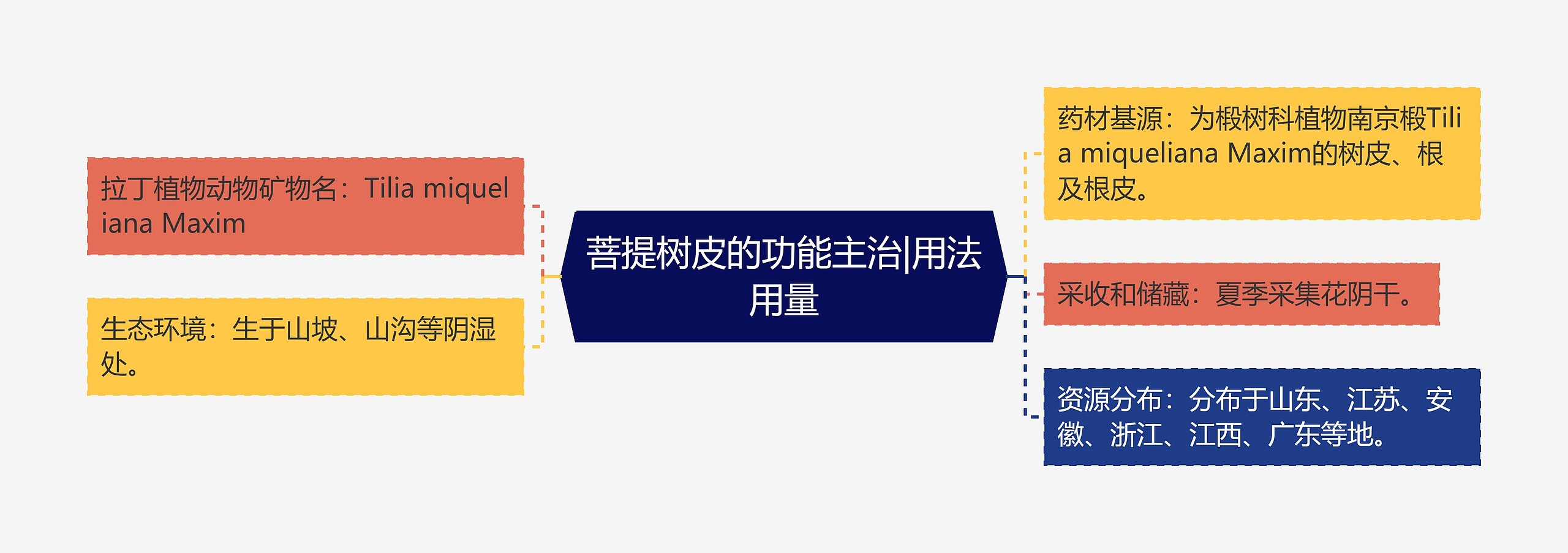 菩提树皮的功能主治|用法用量 菩提树皮的功能主治|用法用量