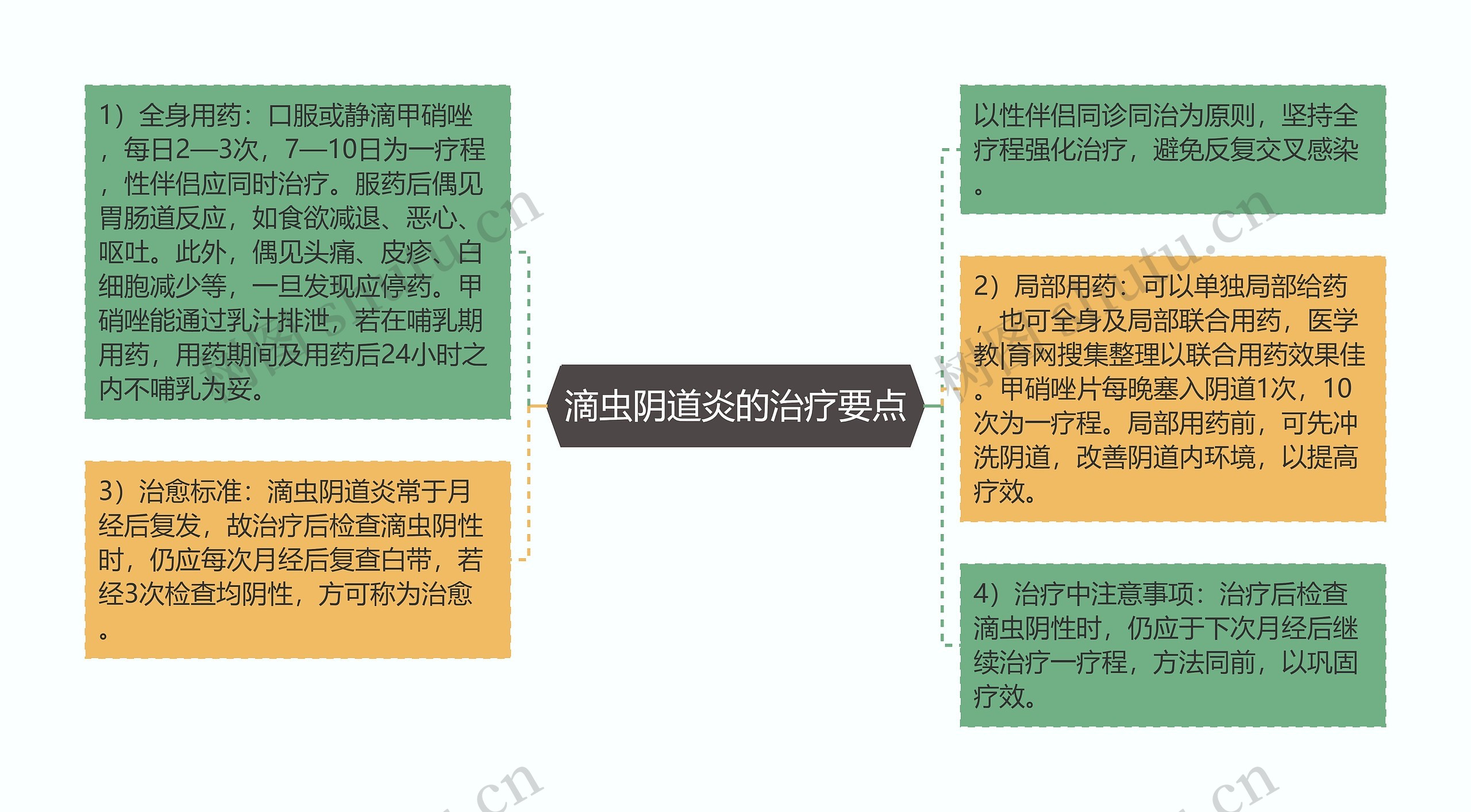 滴虫阴道炎的治疗要点思维导图