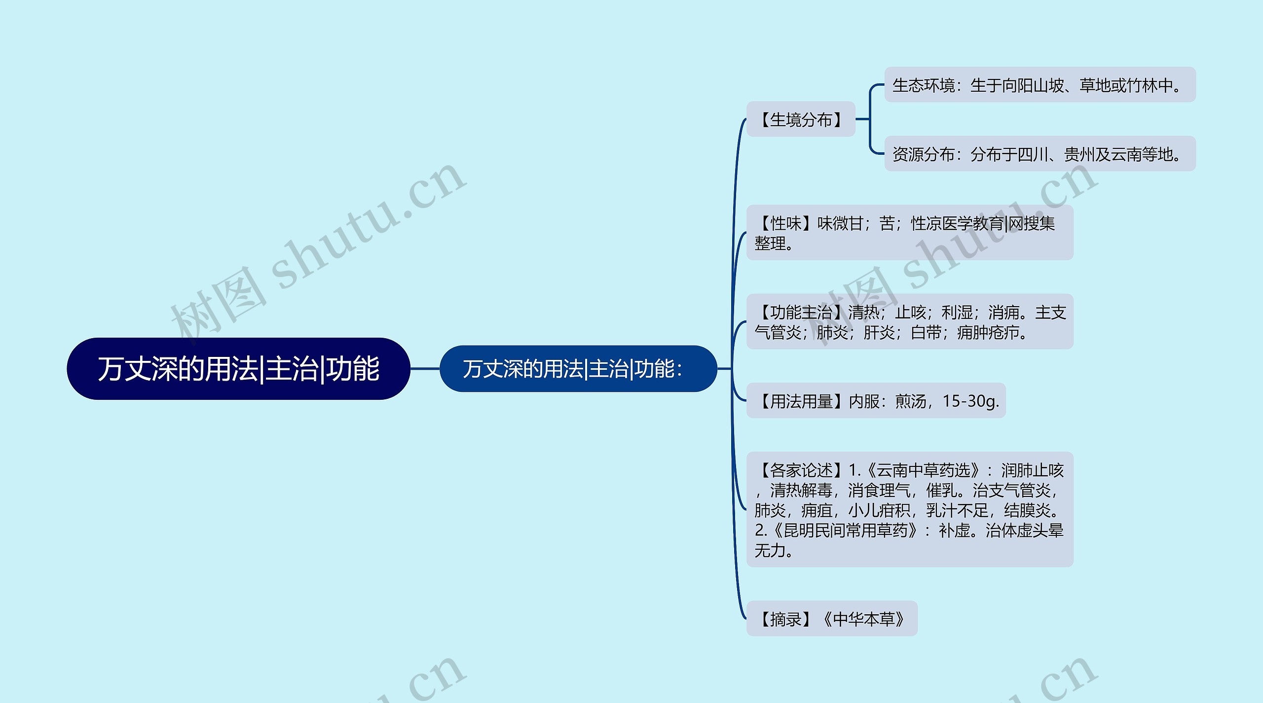 万丈深的用法|主治|功能