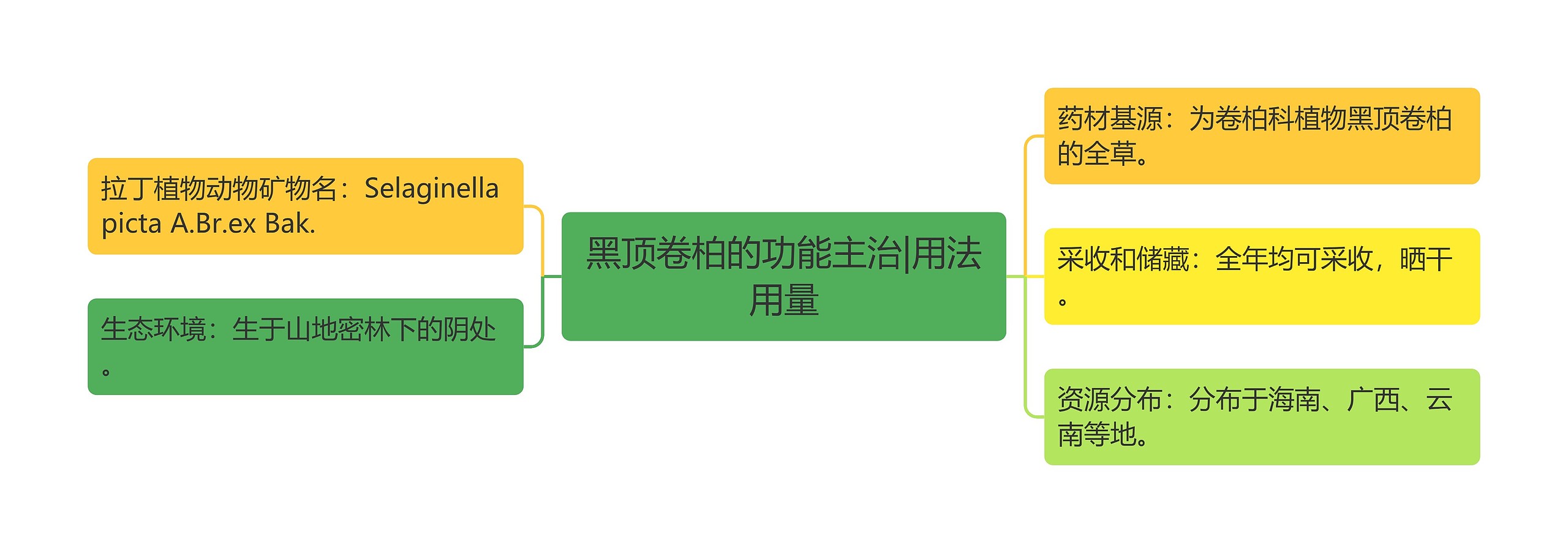 黑顶卷柏的功能主治|用法用量 黑顶卷柏的功能主治|用法用量