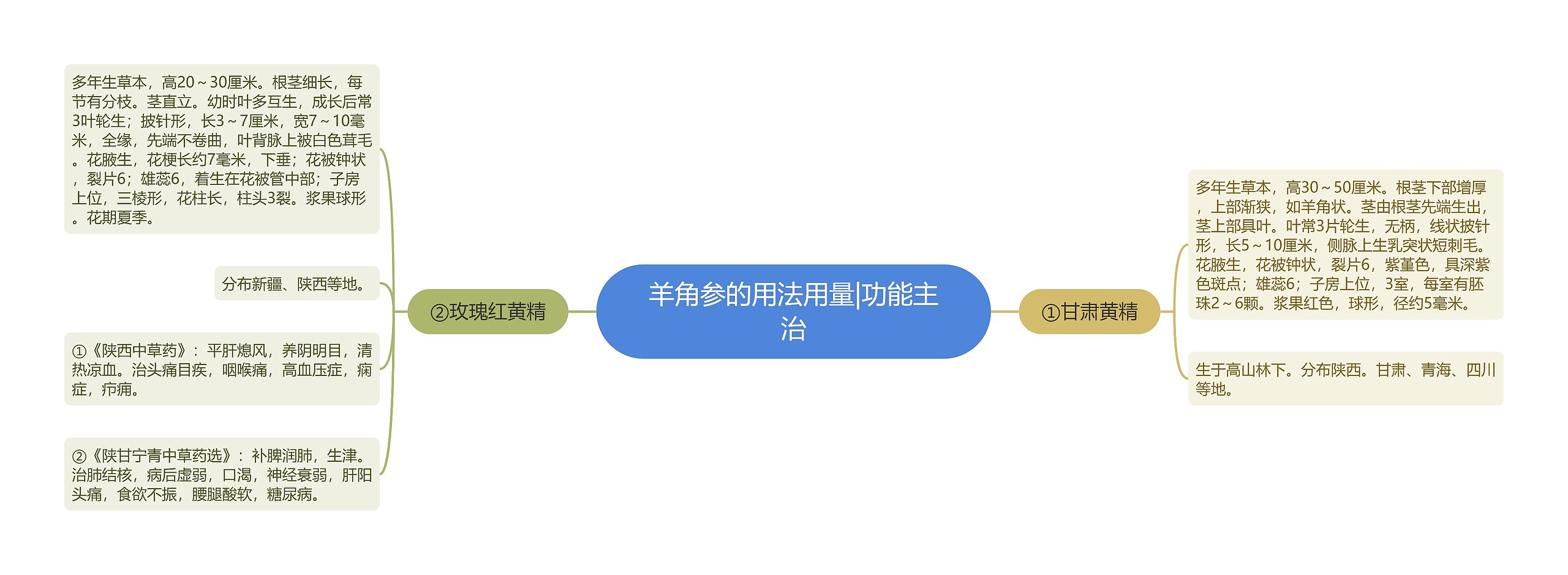 羊角参的用法用量|功能主治思维导图