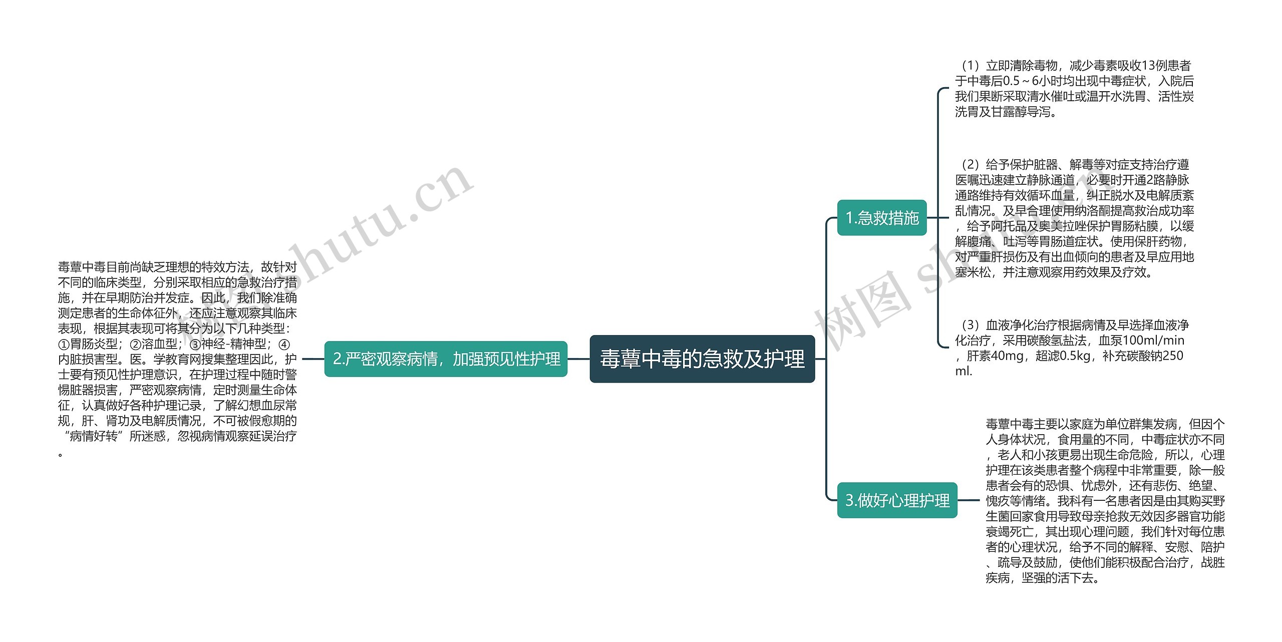 毒蕈中毒的急救及护理思维导图