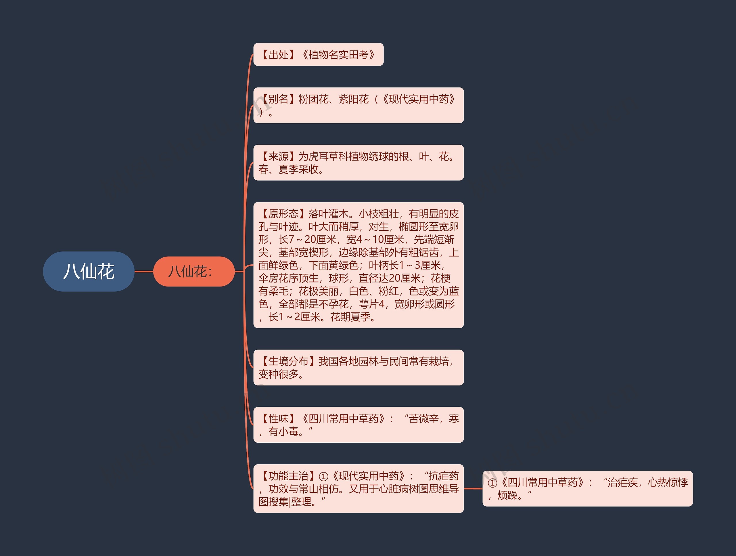 八仙花思维导图