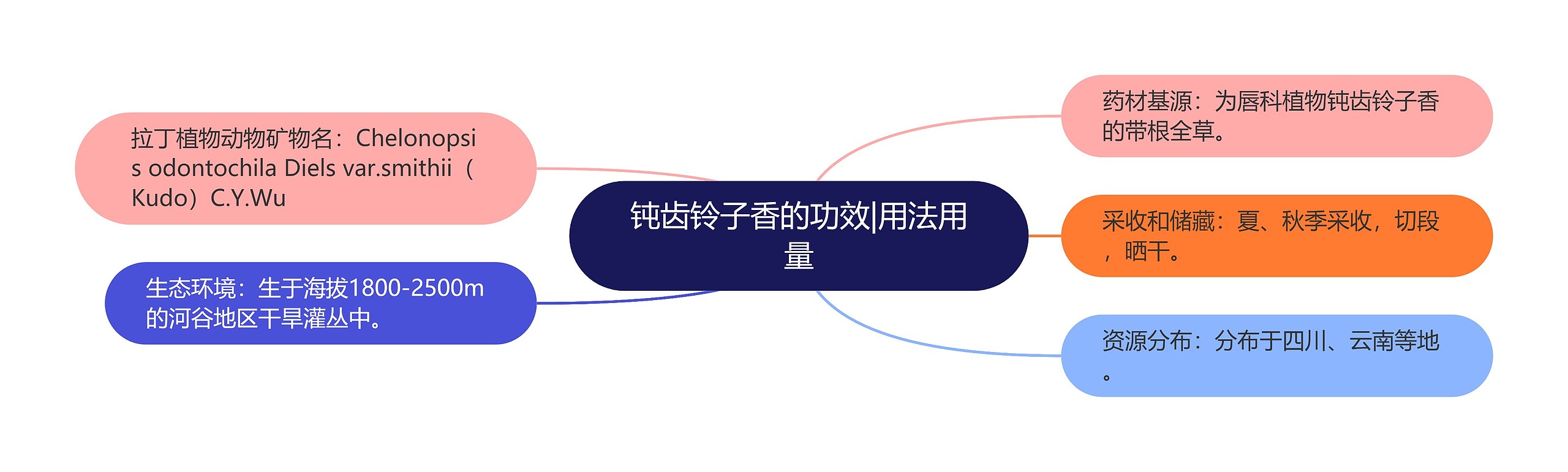 钝齿铃子香的功效|用法用量 钝齿铃子香的功效|用法用量