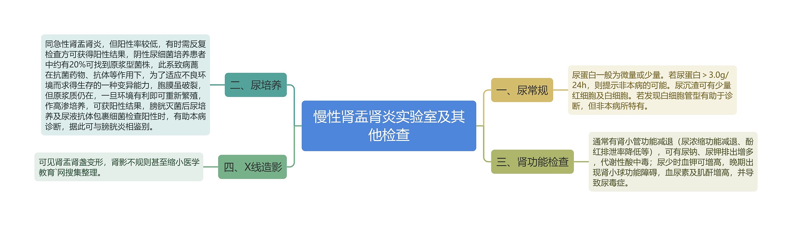 慢性肾盂肾炎实验室及其他检查