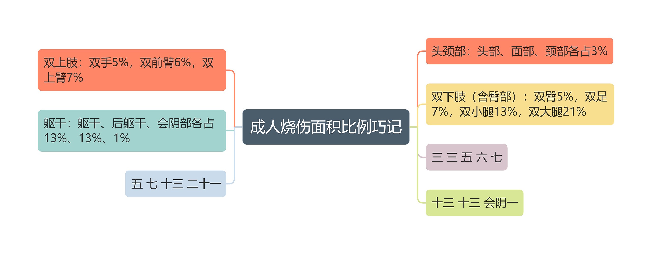 成人烧伤面积比例巧记思维导图