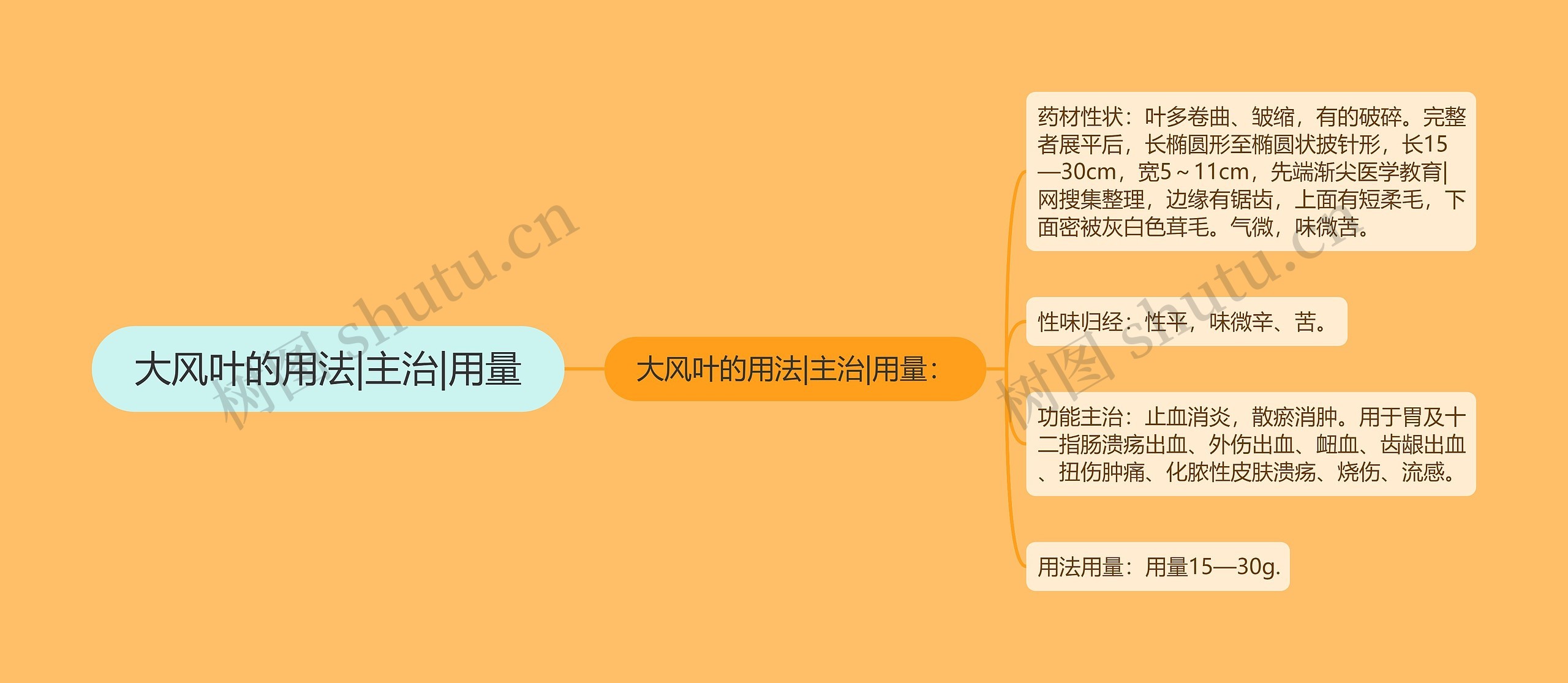 大风叶的用法|主治|用量