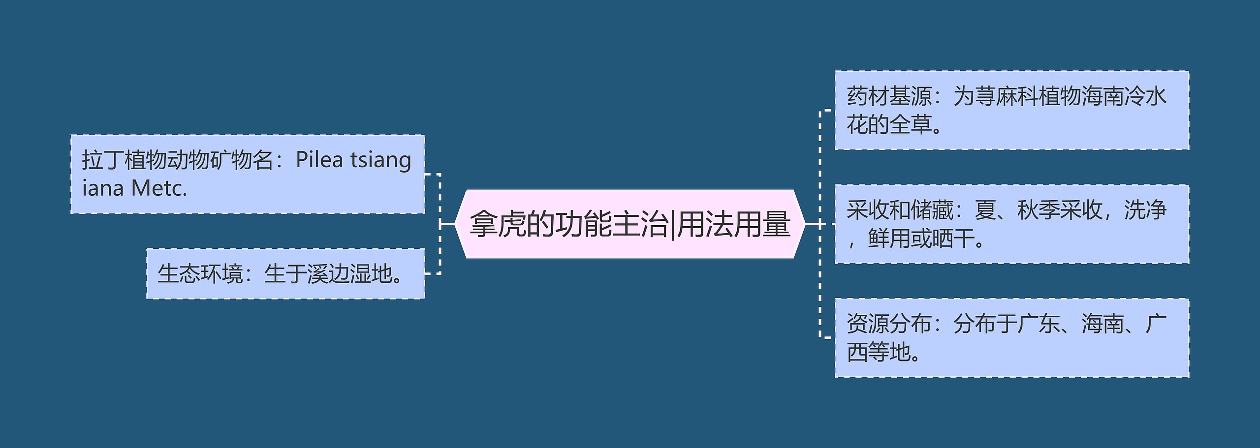 拿虎的功能主治|用法用量思维导图