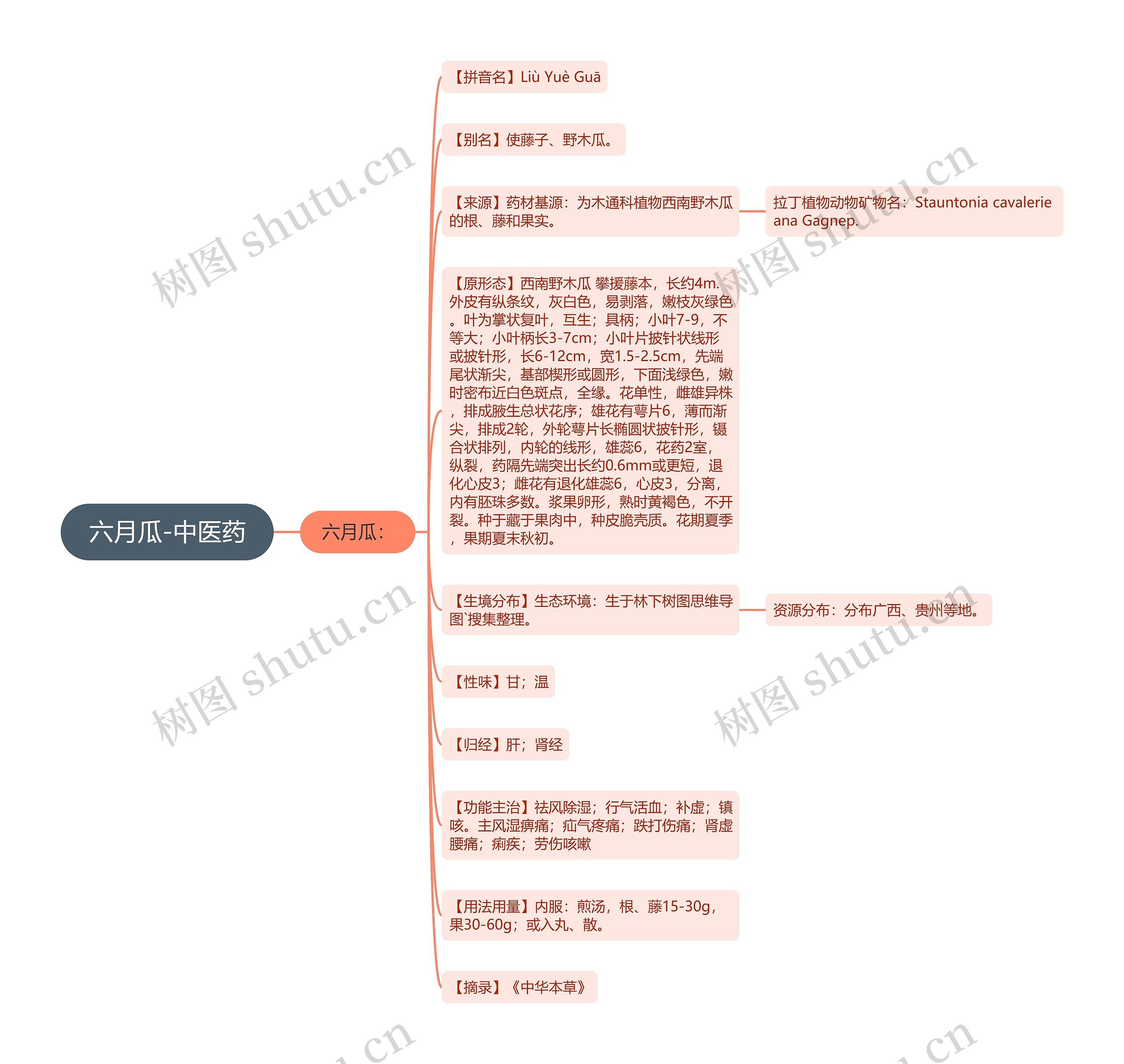 六月瓜-中医药 六月瓜-中医药