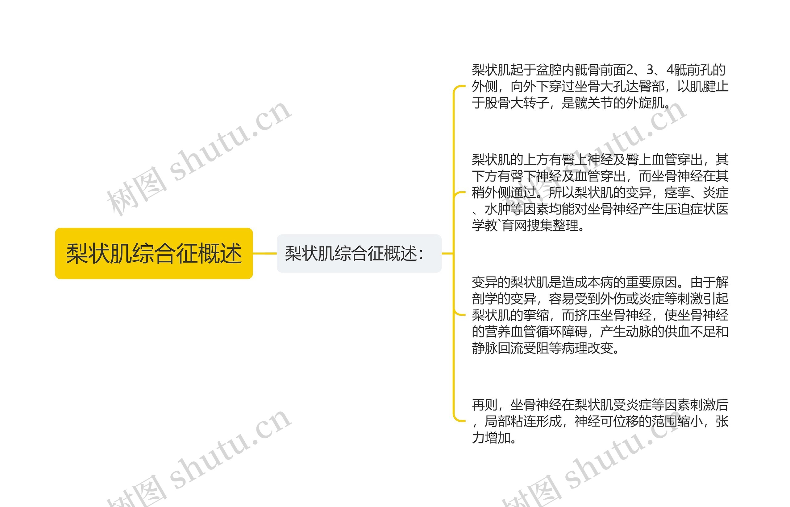 梨状肌综合征概述