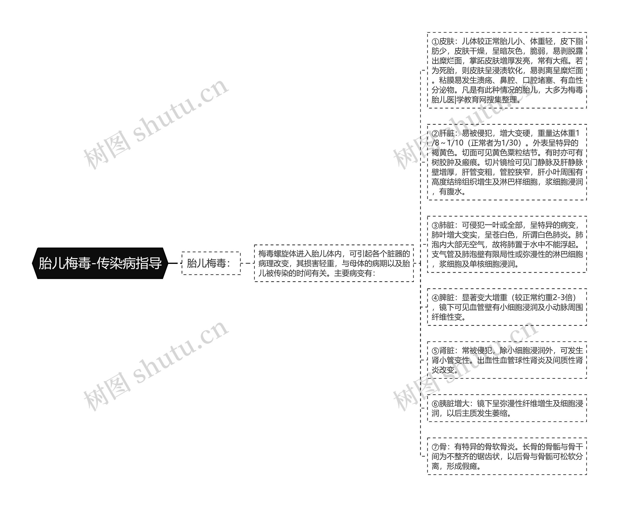 胎儿梅毒-传染病指导 胎儿梅毒-传染病指导