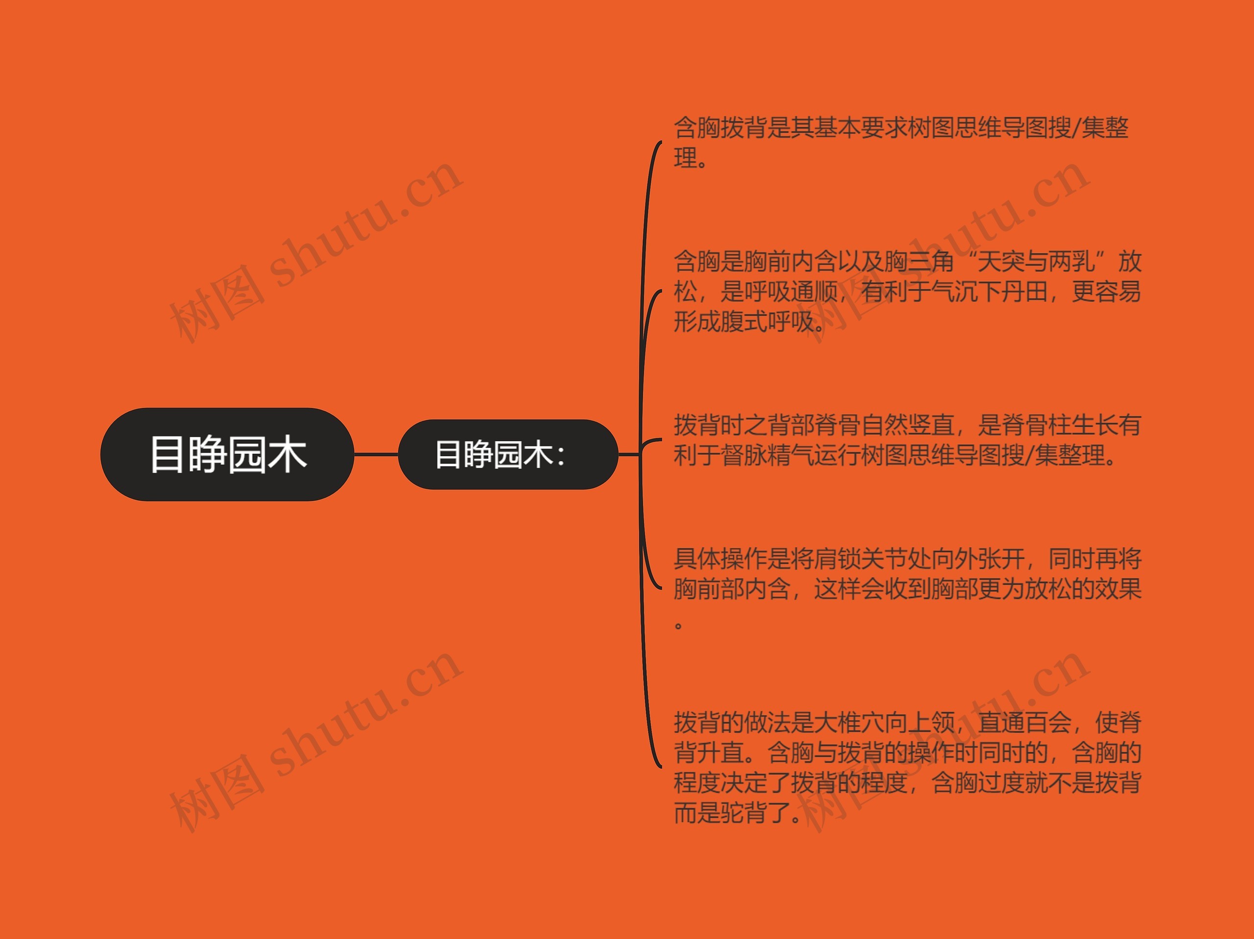 目睁园木思维导图