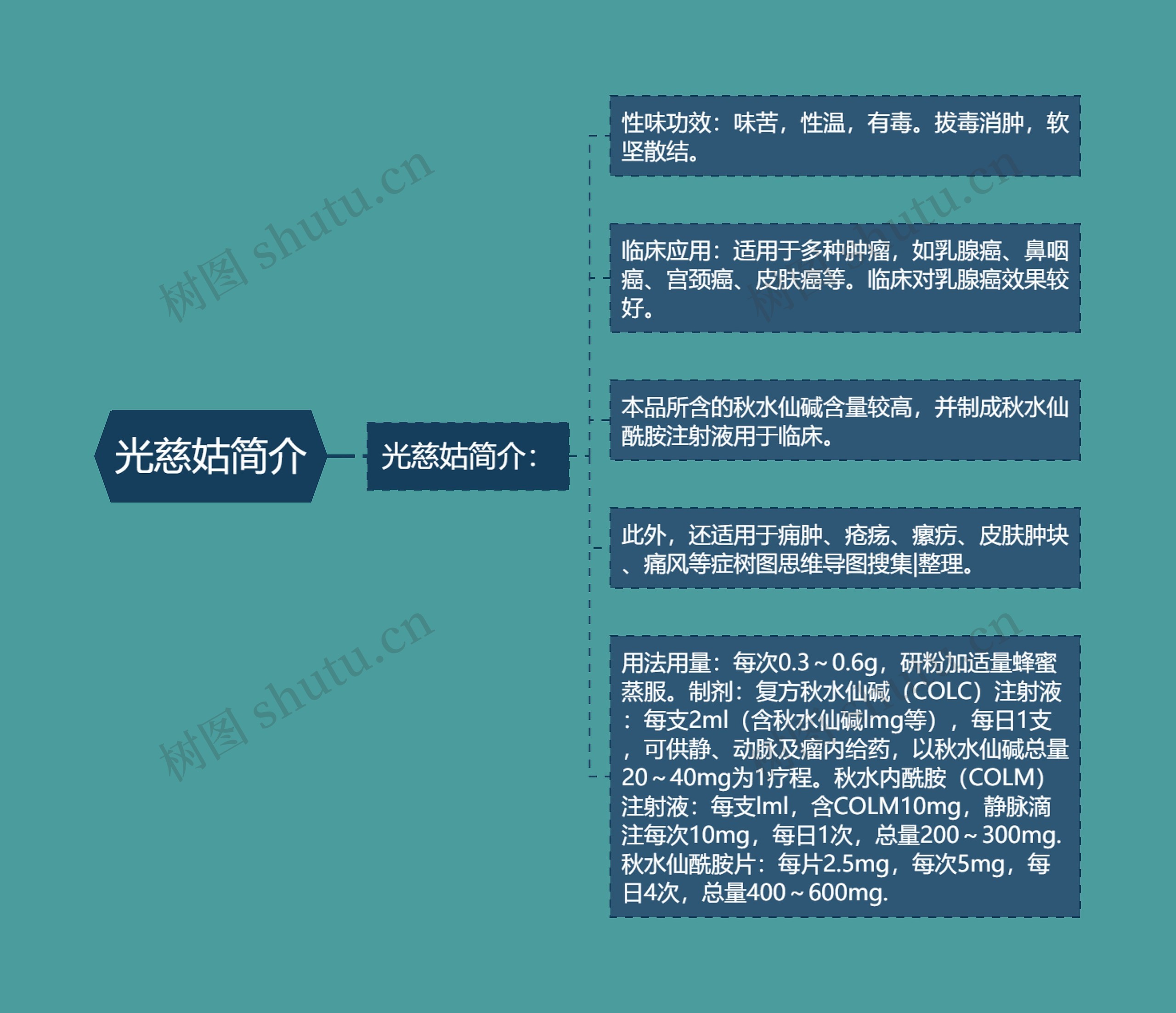 光慈姑简介 光慈姑简介