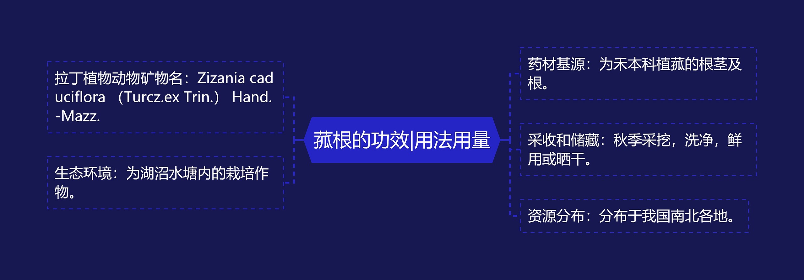 菰根的功效|用法用量 菰根的功效|用法用量