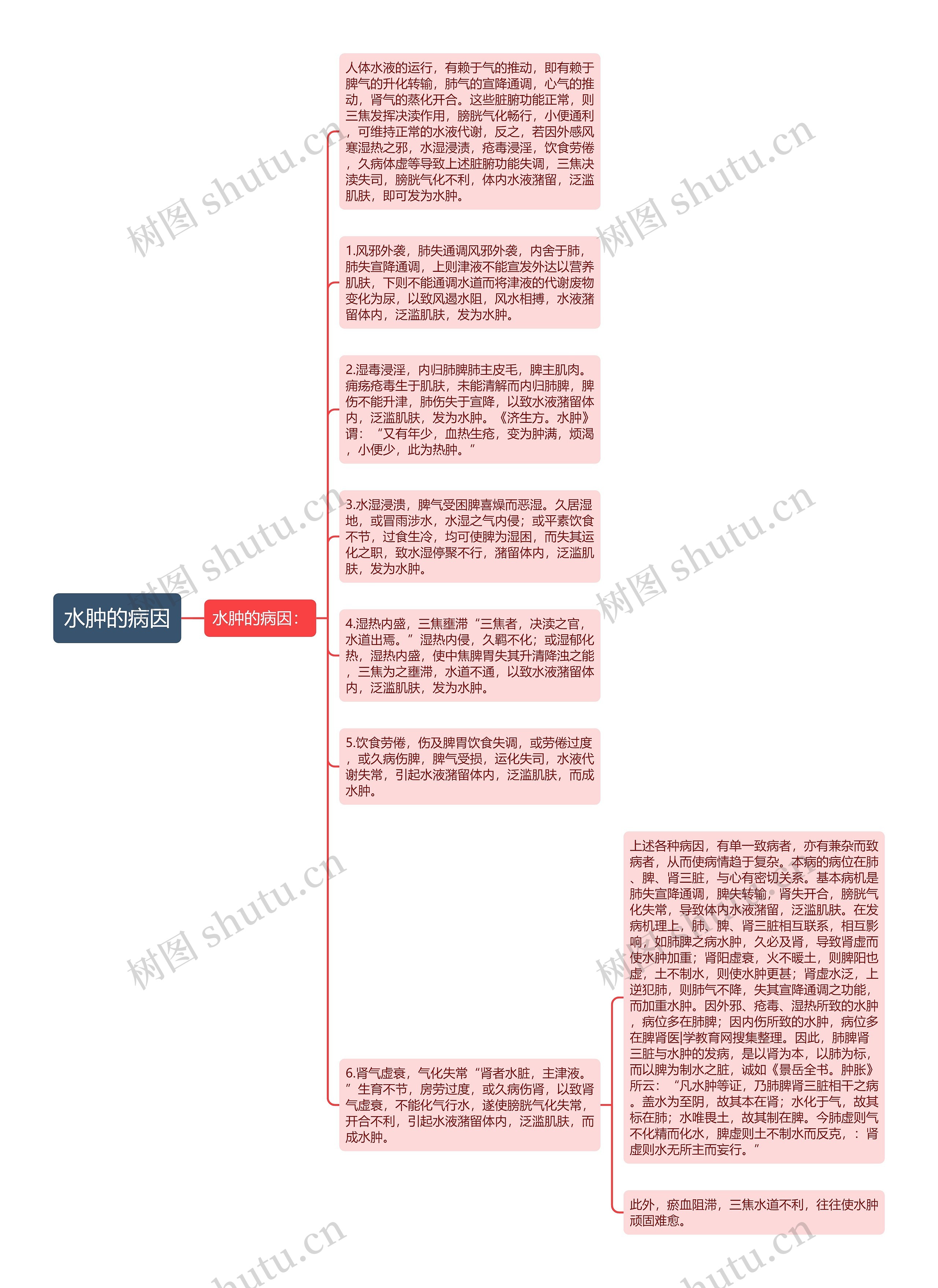 水肿的病因