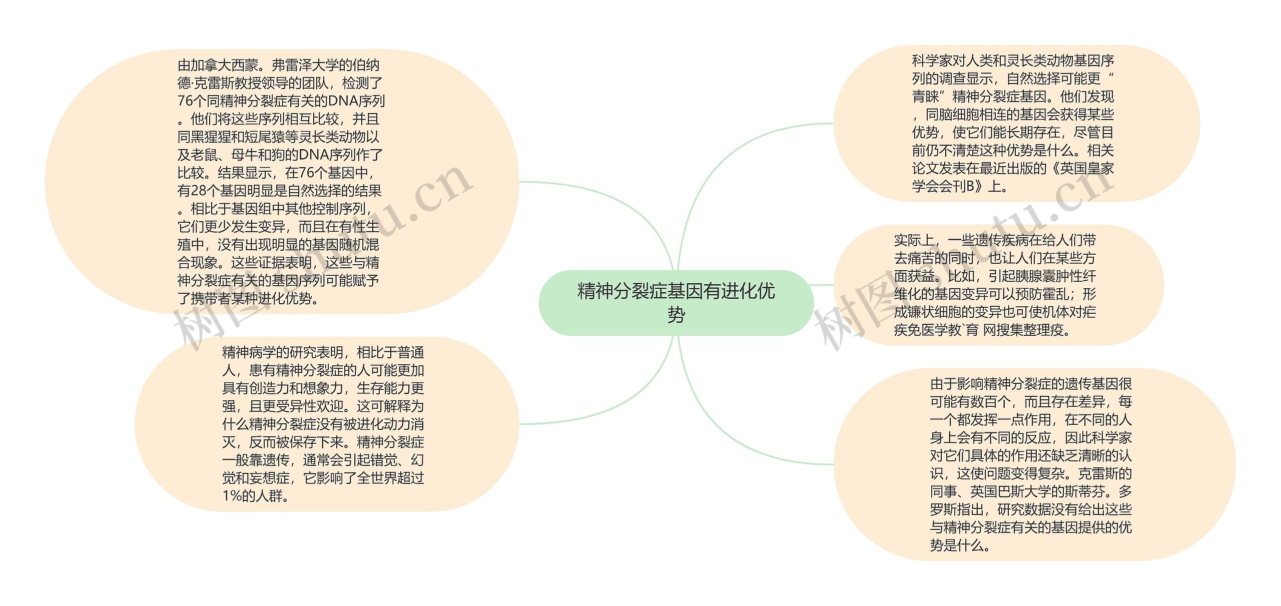 精神分裂症基因有进化优势思维导图